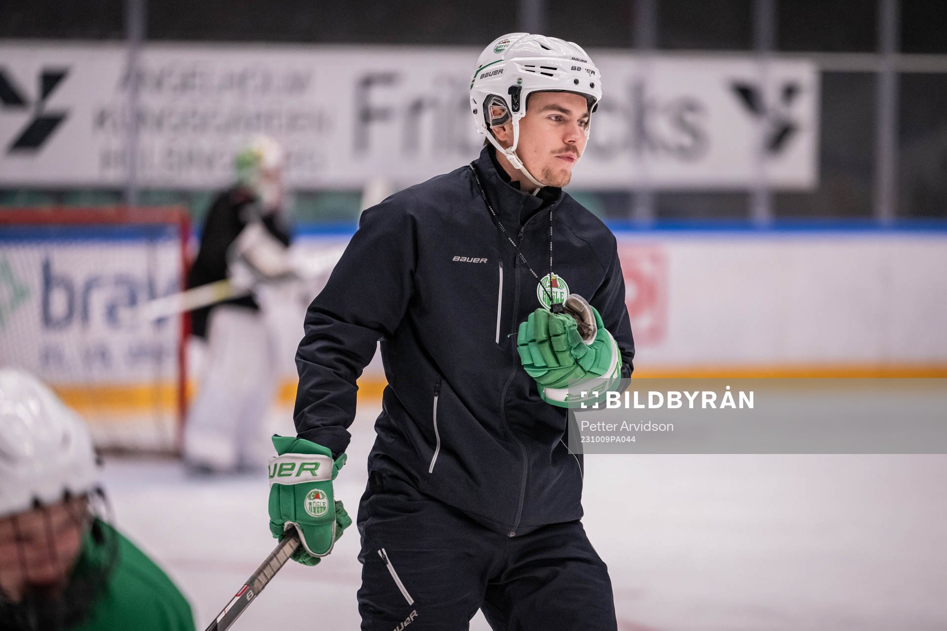 Ludvig Nilsson, Idrottspsykologisk rådgivare i ishockey