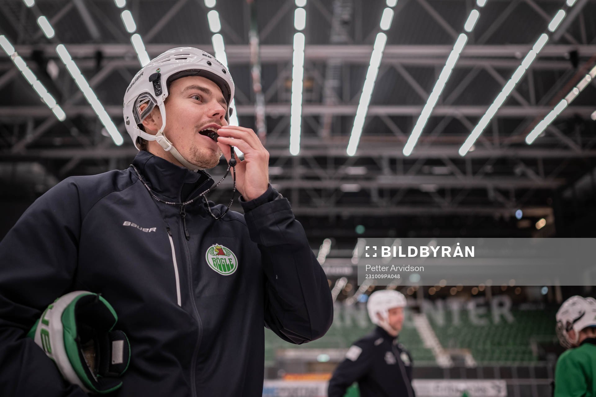 Ludvig Nilsson, Idrottspsykologisk rådgivare i ishockey