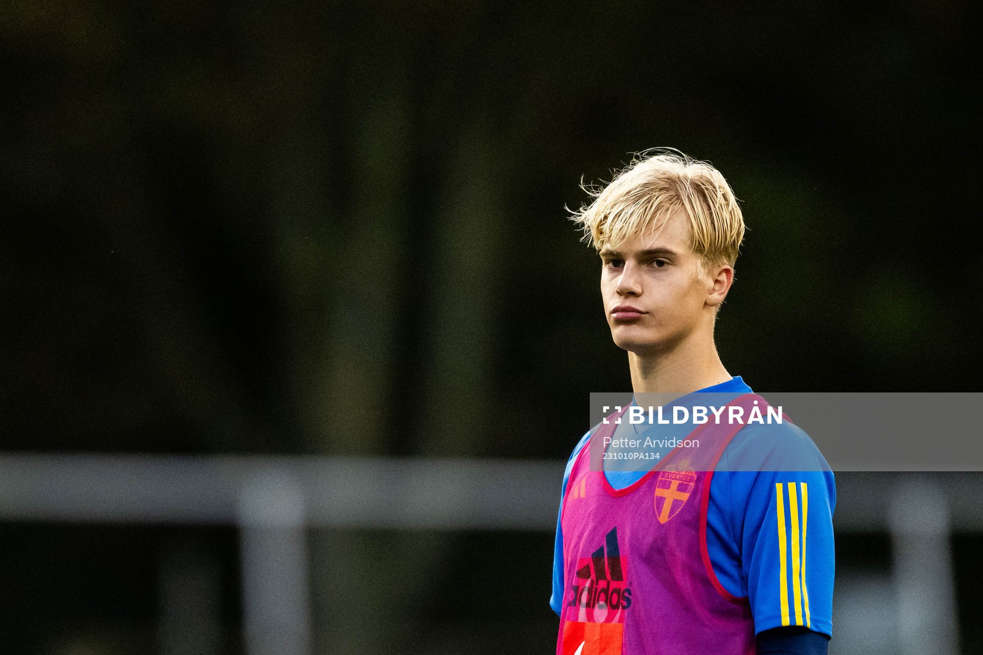 Lucas Bergvall
