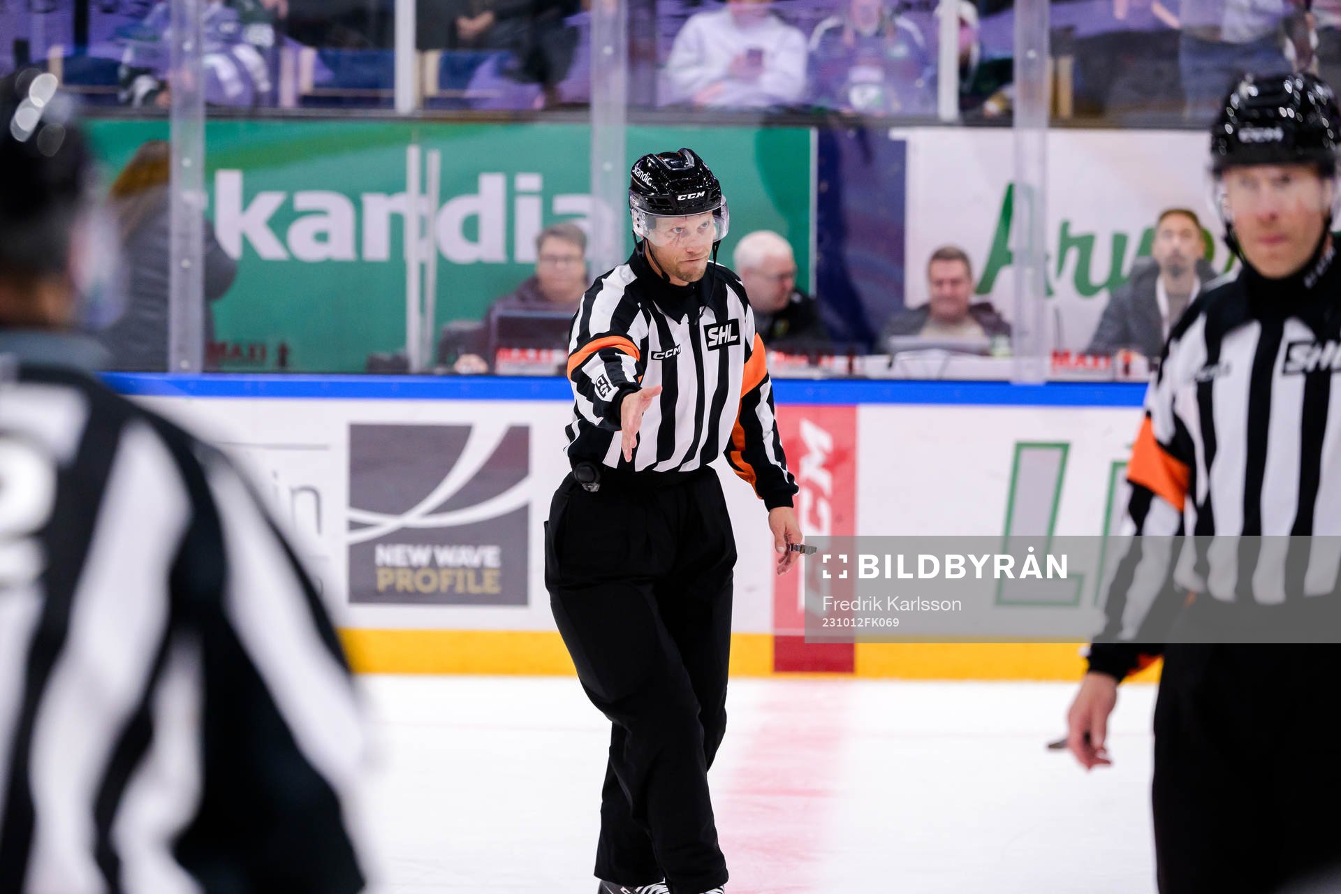 Domare Andreas Harnebring