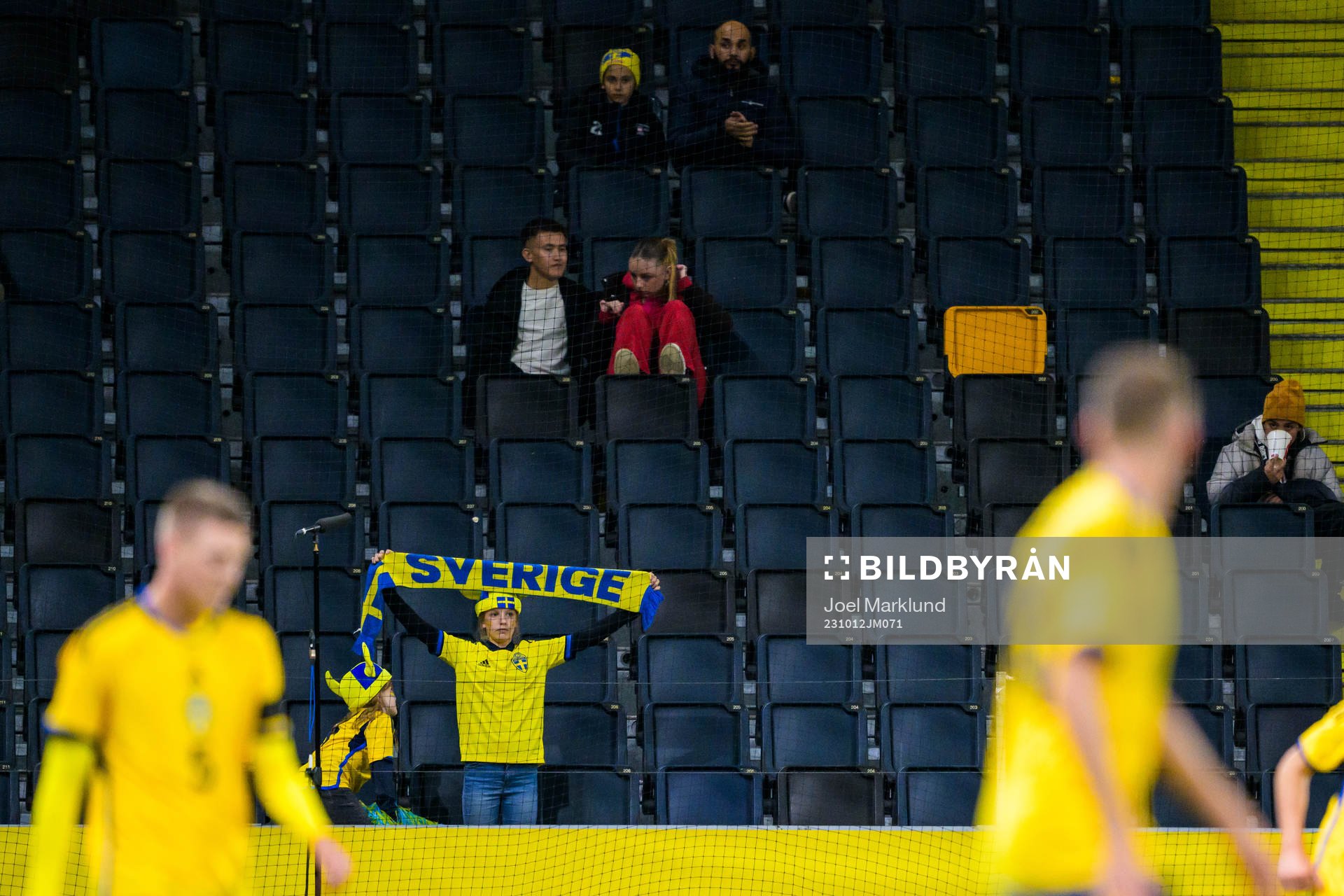 Fans of Sweden
