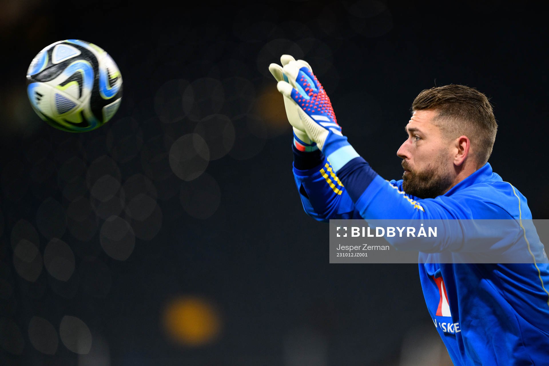 Goalkeeper Kristoffer Nordfeldt of Sweden