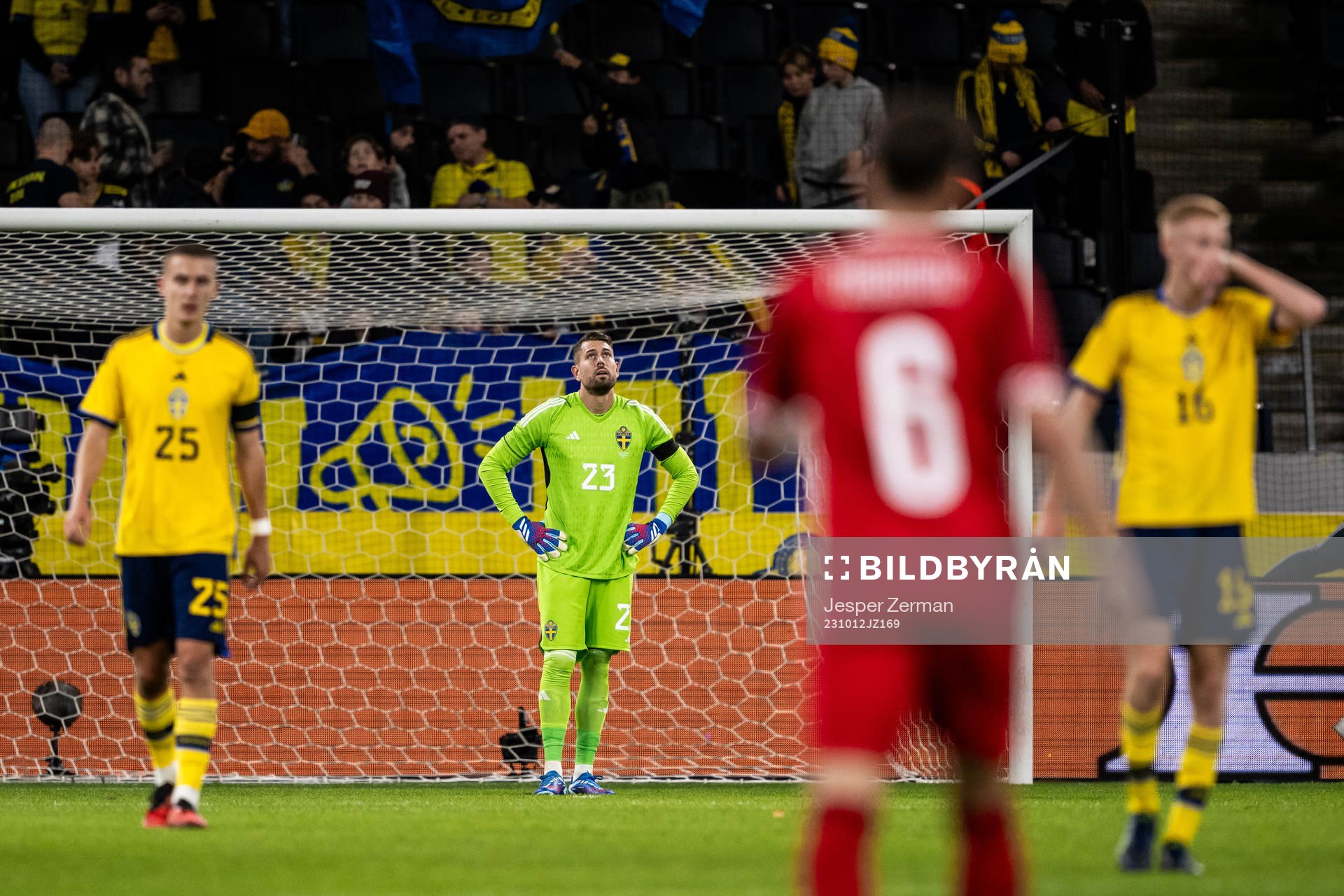 goalkeeper Kristoffer Nordfeldt of Sweden looks dejected