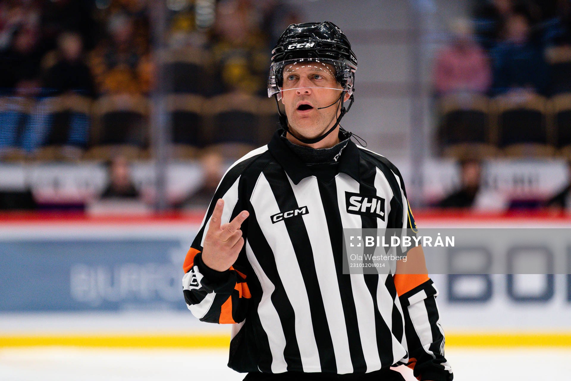 Domare Mikael Nord