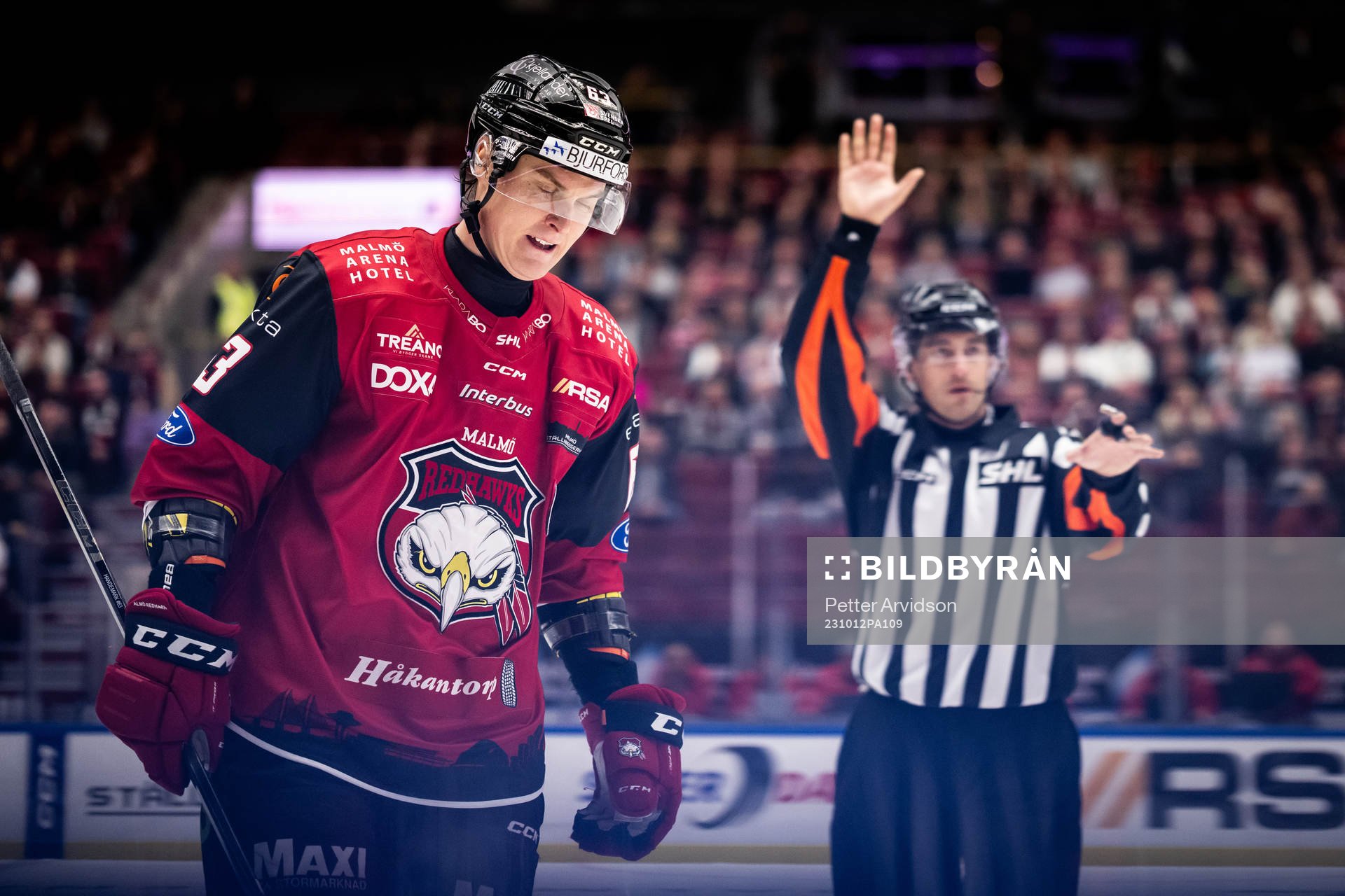 Malmö Redhawks Fredrik Händemark och Domare Johan
