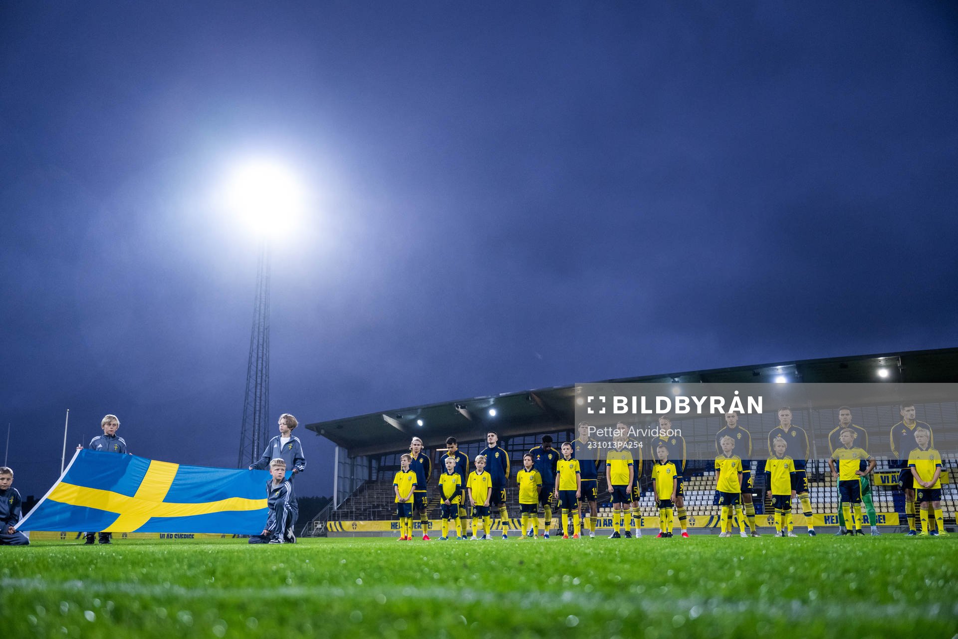 Players of Sweden