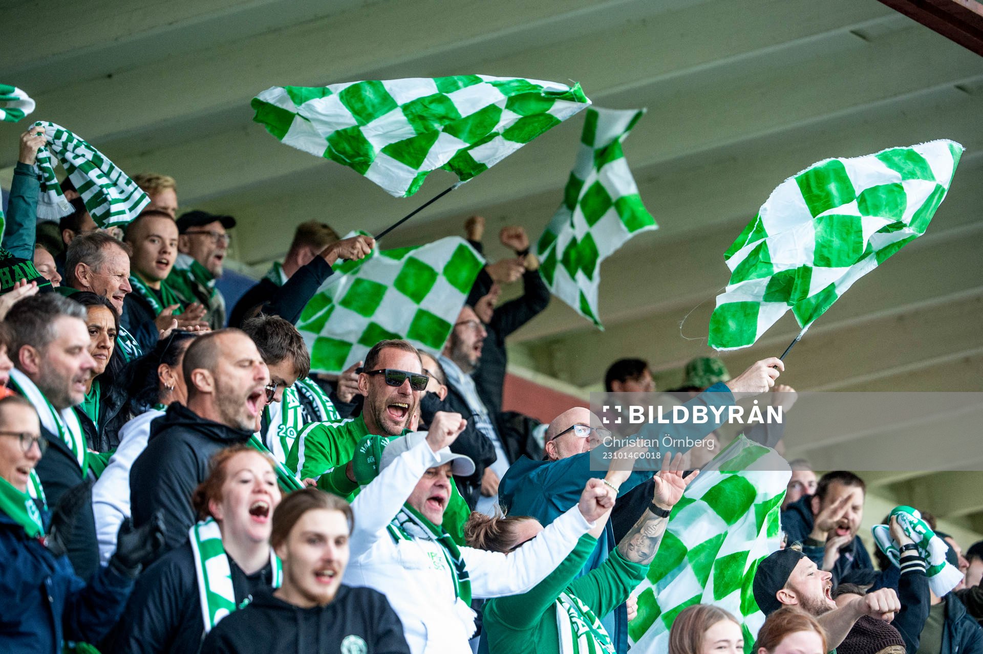 Hammarbys supportrar