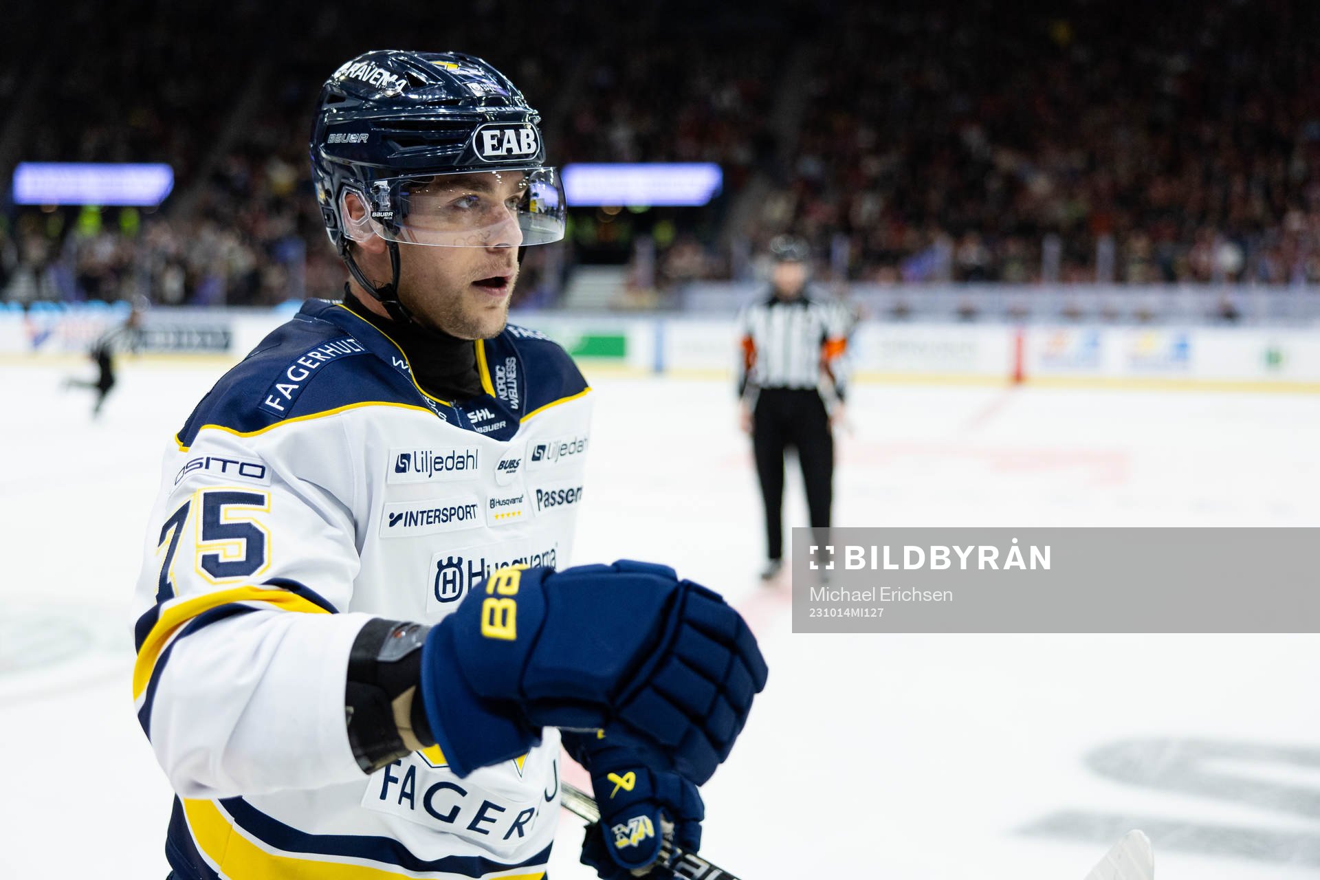 HV71s Radan Lenc jublar