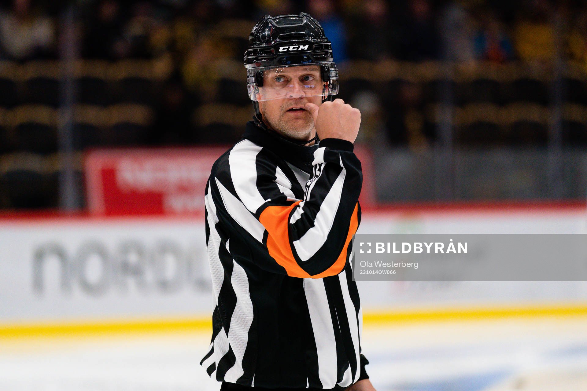 Domare Mikael Nord