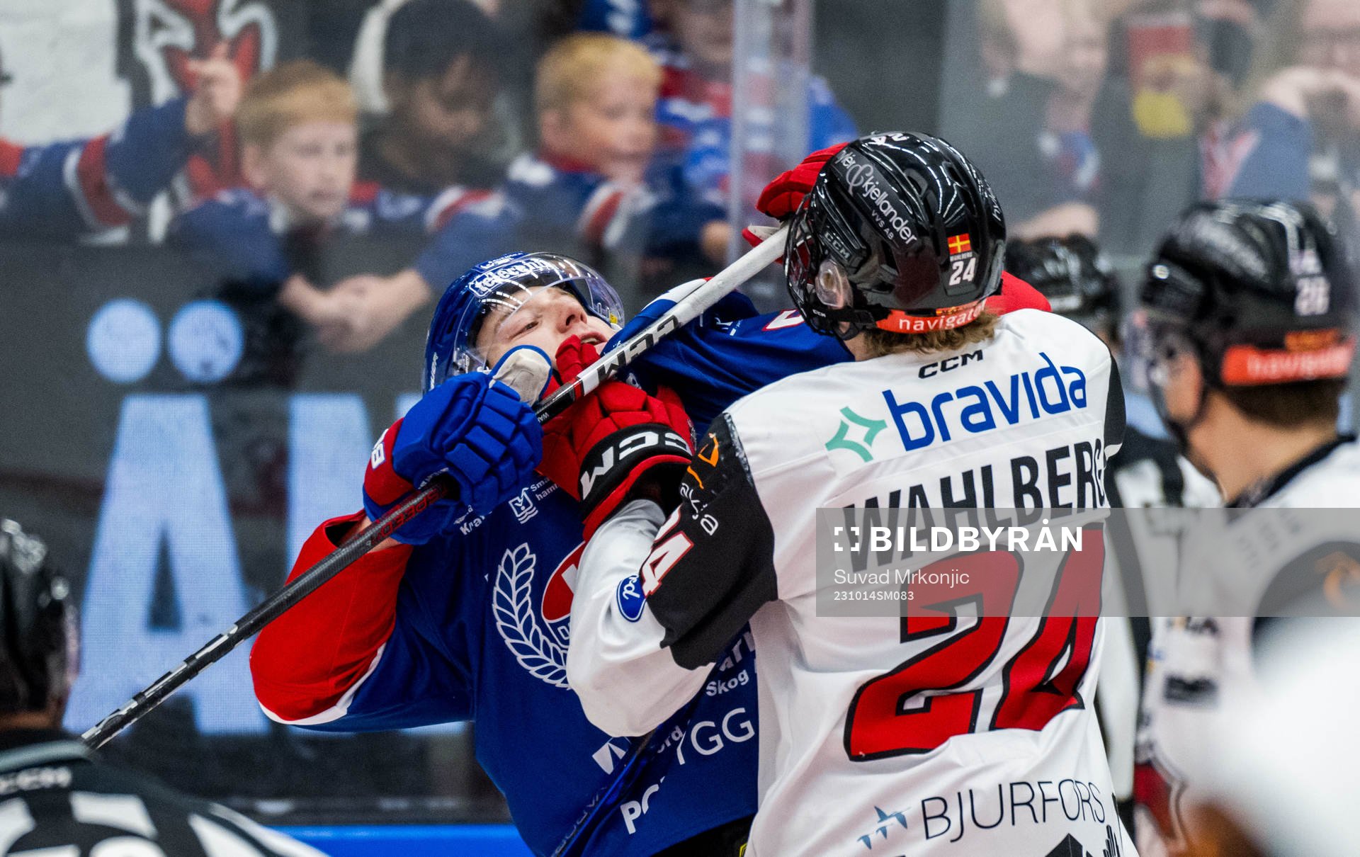 IK Oskarshamns Alexander Anderberg och IF Malmö Redhawks