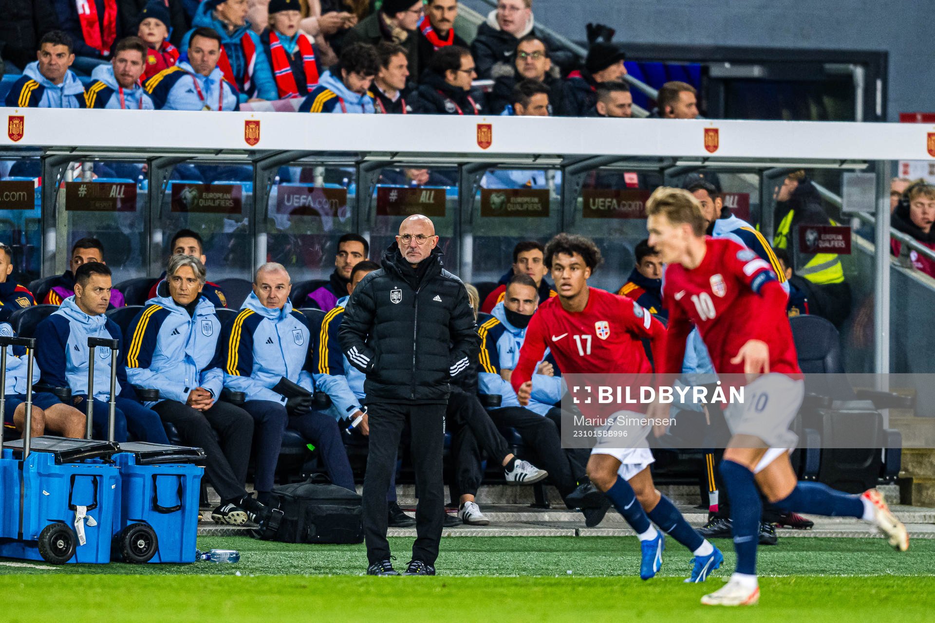 Luis de la Fuente, head coach of Spain