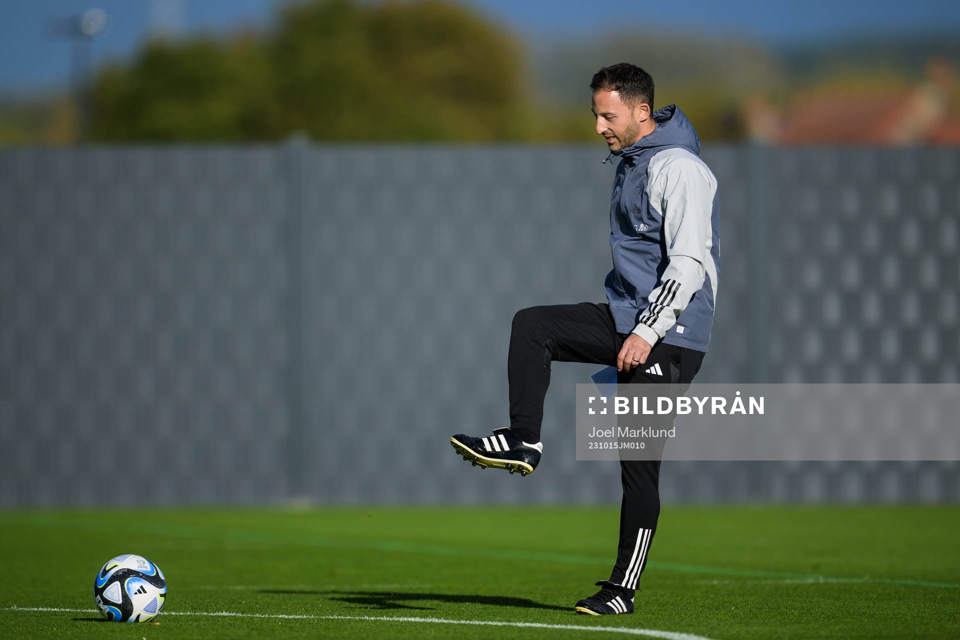 Head coach Domenico Tedesco of the Belgian national
