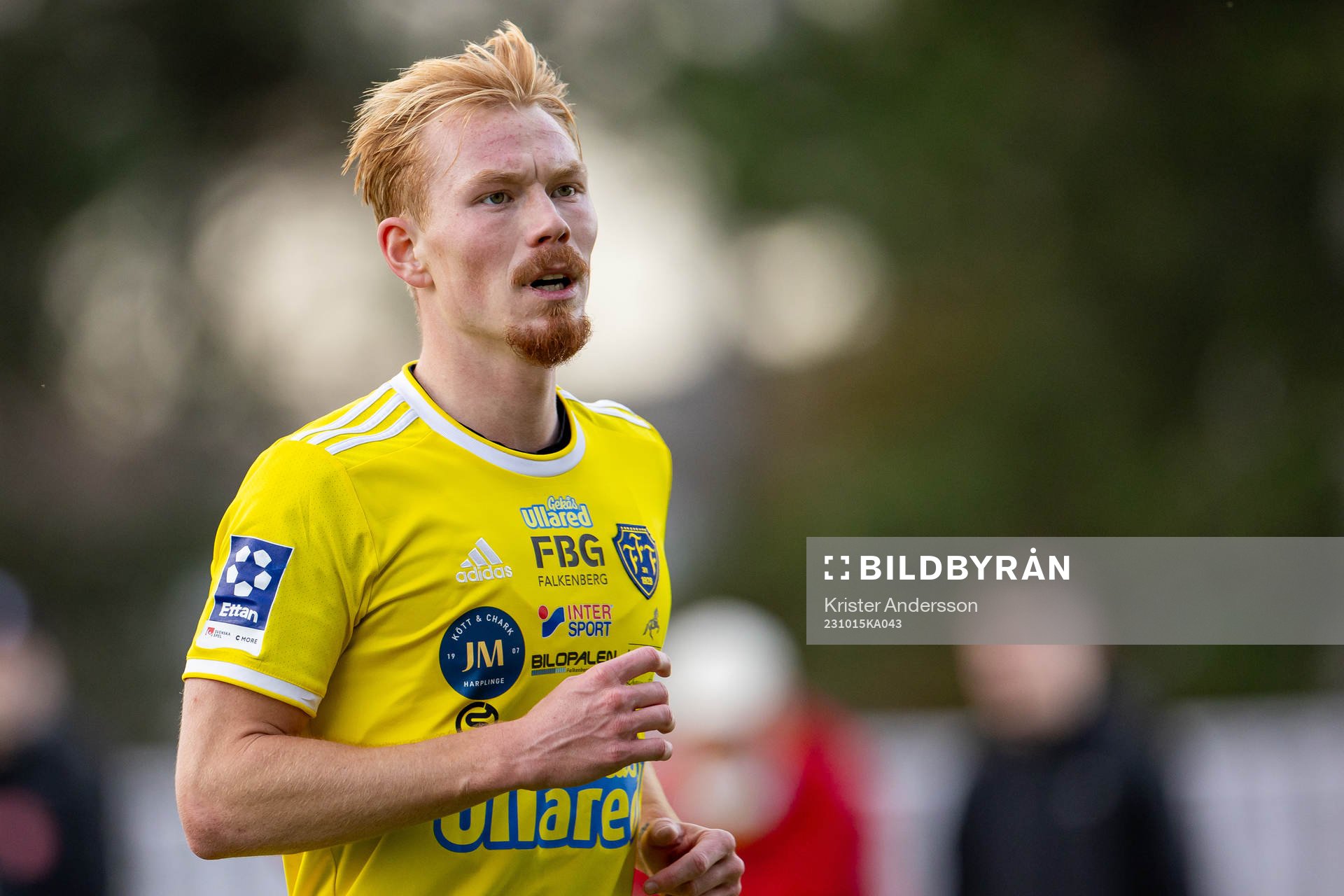 Falkenbergs Linus Borgström