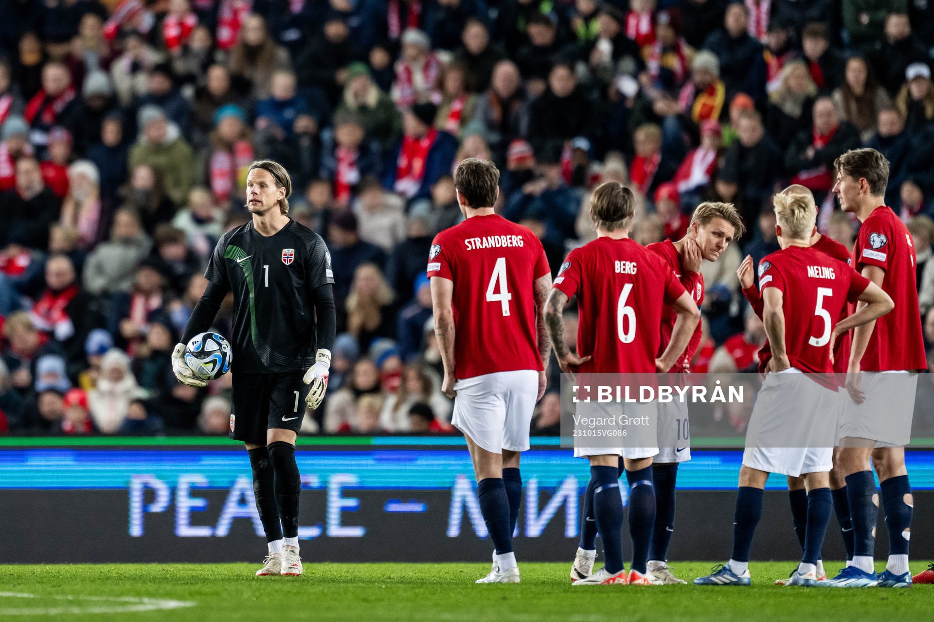 goalkeeper Ørjan Håskjold Nyland of Norway