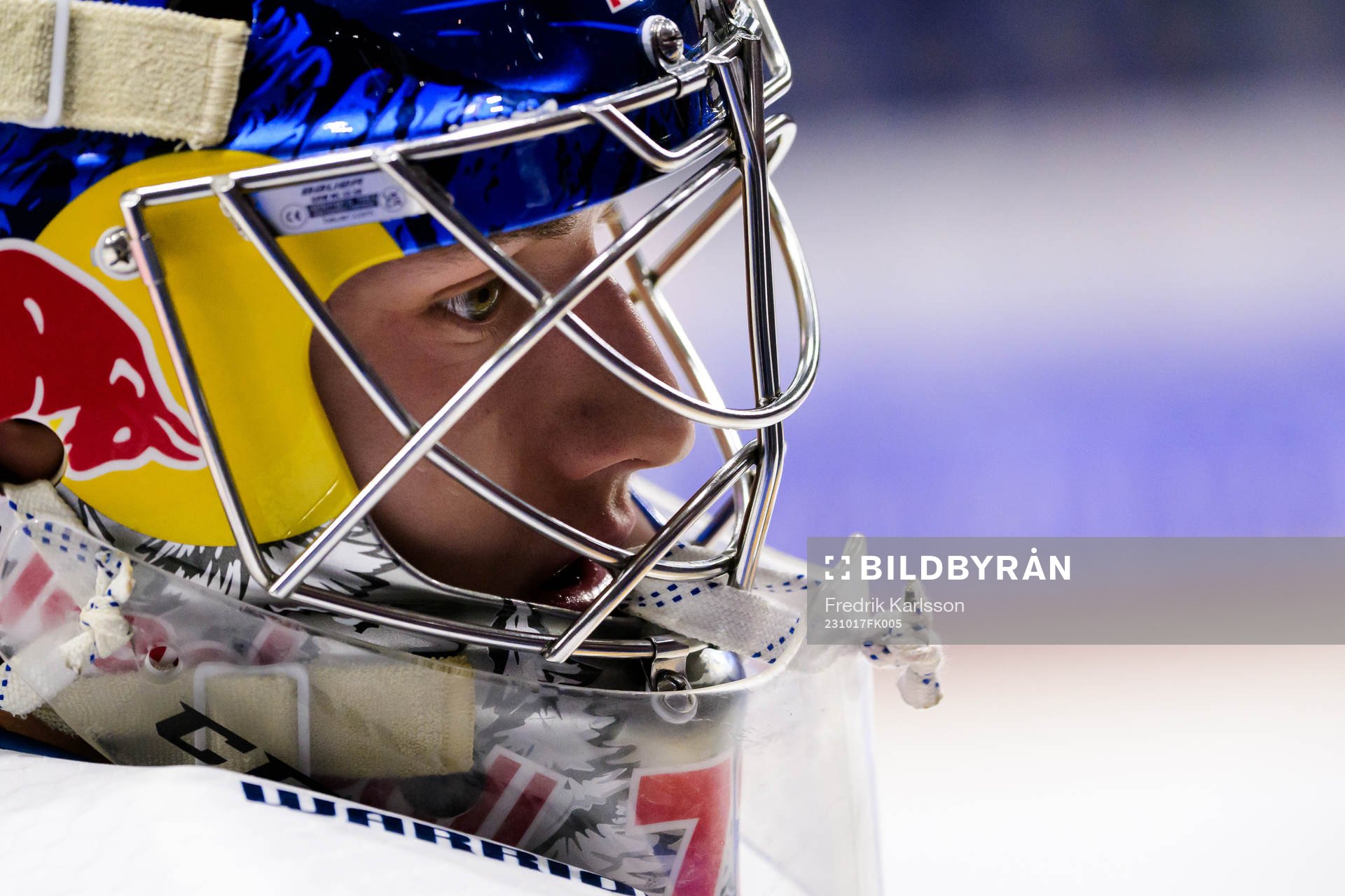 goaltender Daniel Allavena of Munich