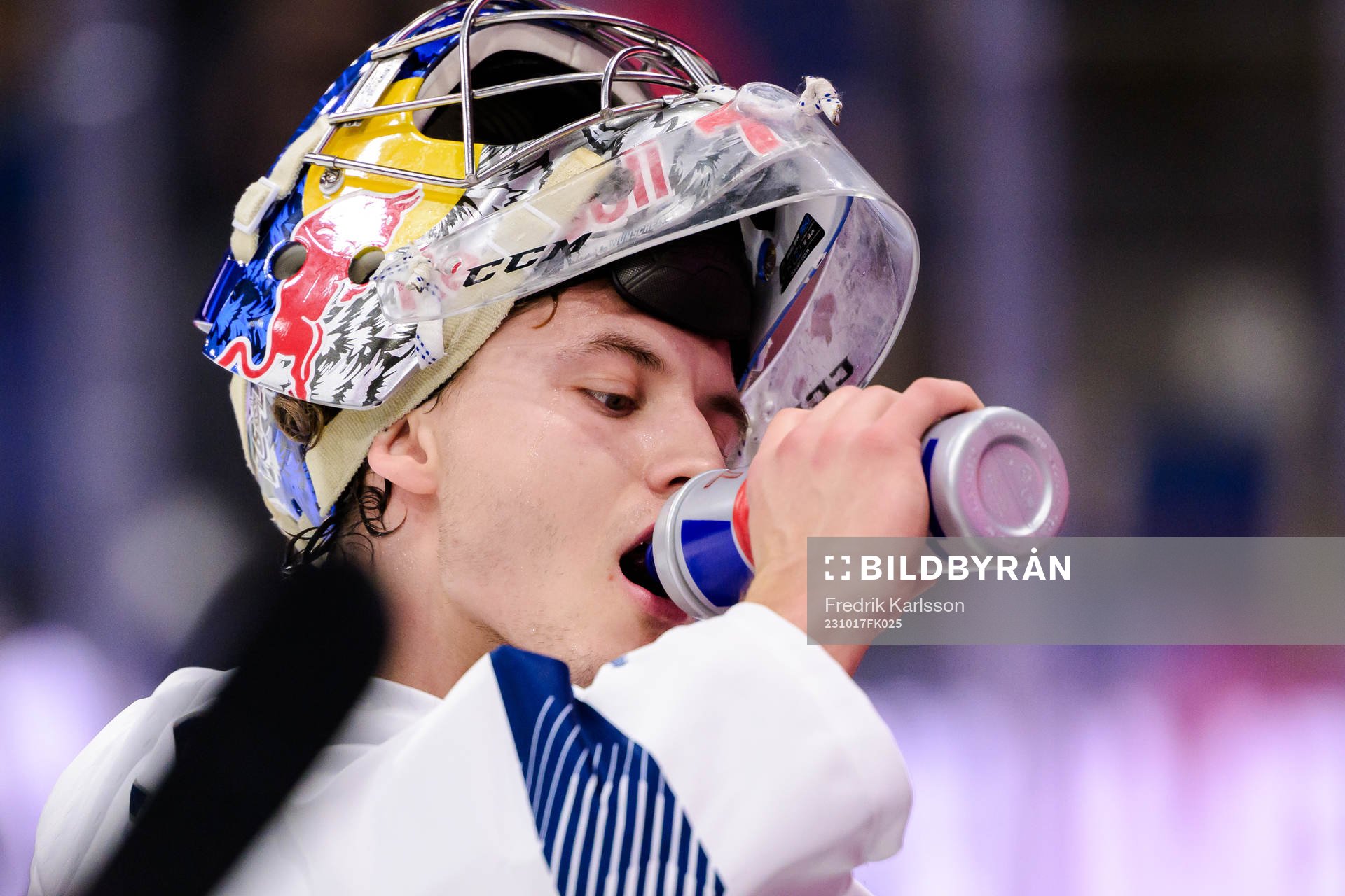 goaltender Daniel Allavena of Munich