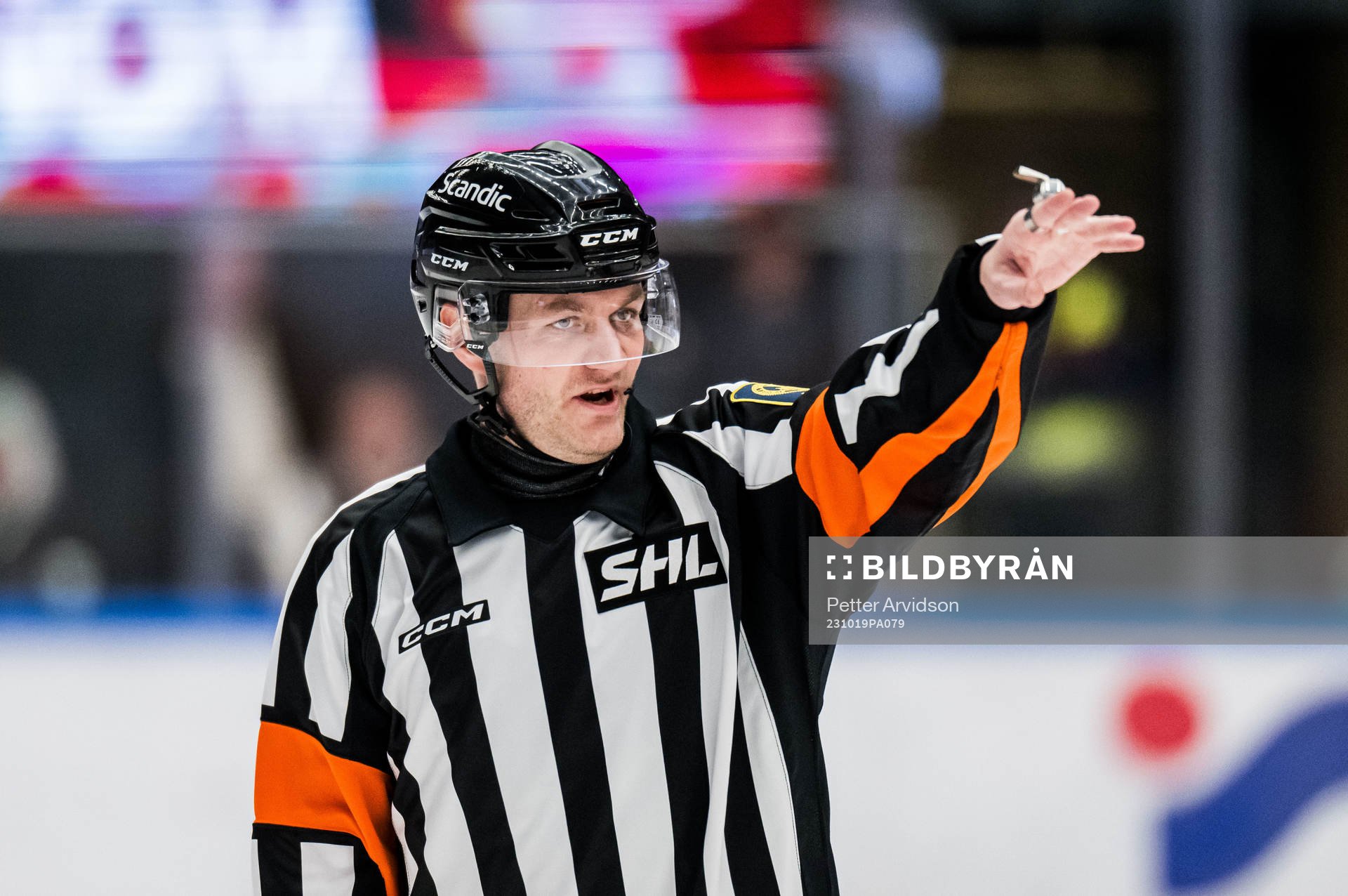 Domare Daniel Eriksson