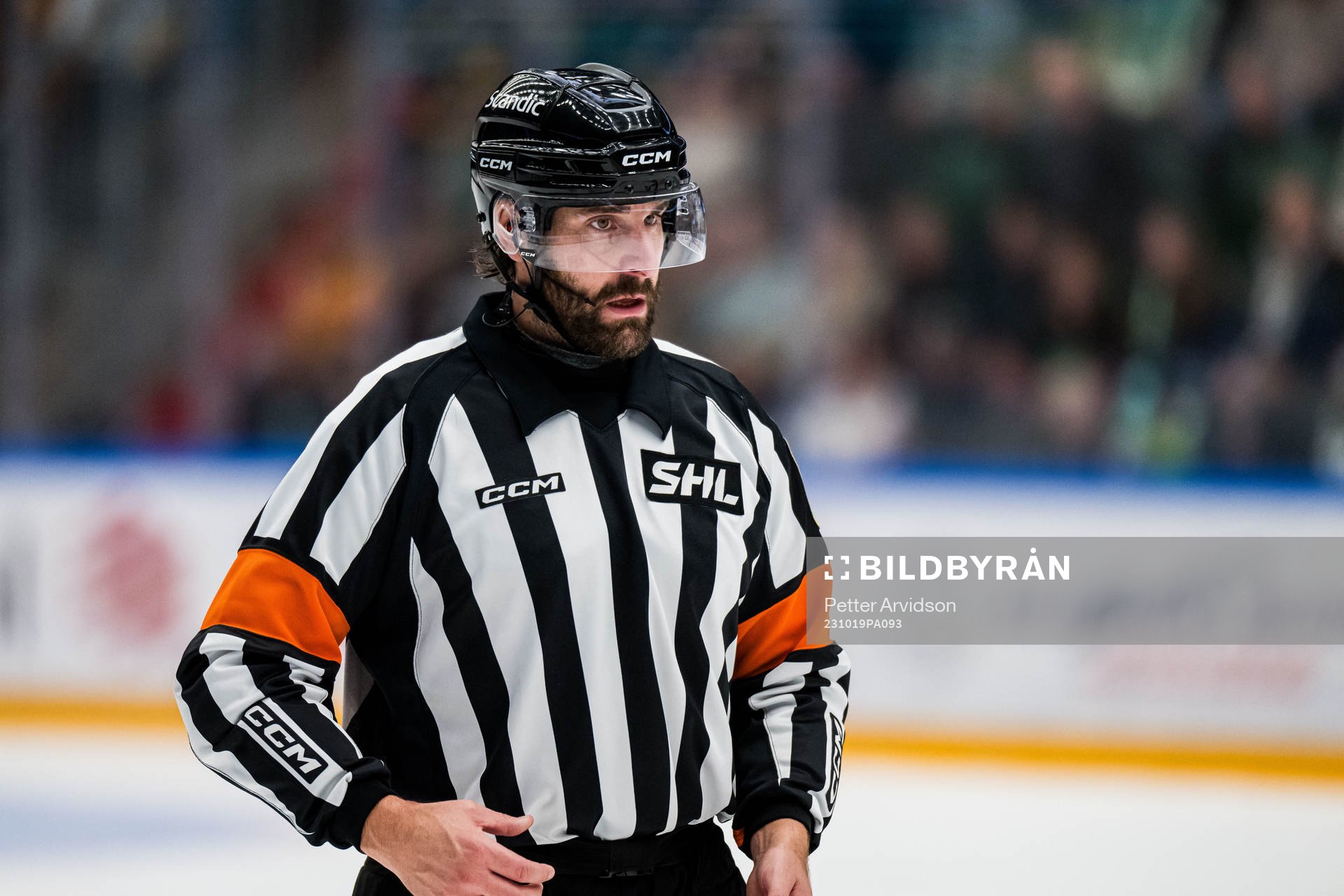 Domare Mikael Sjöqvist