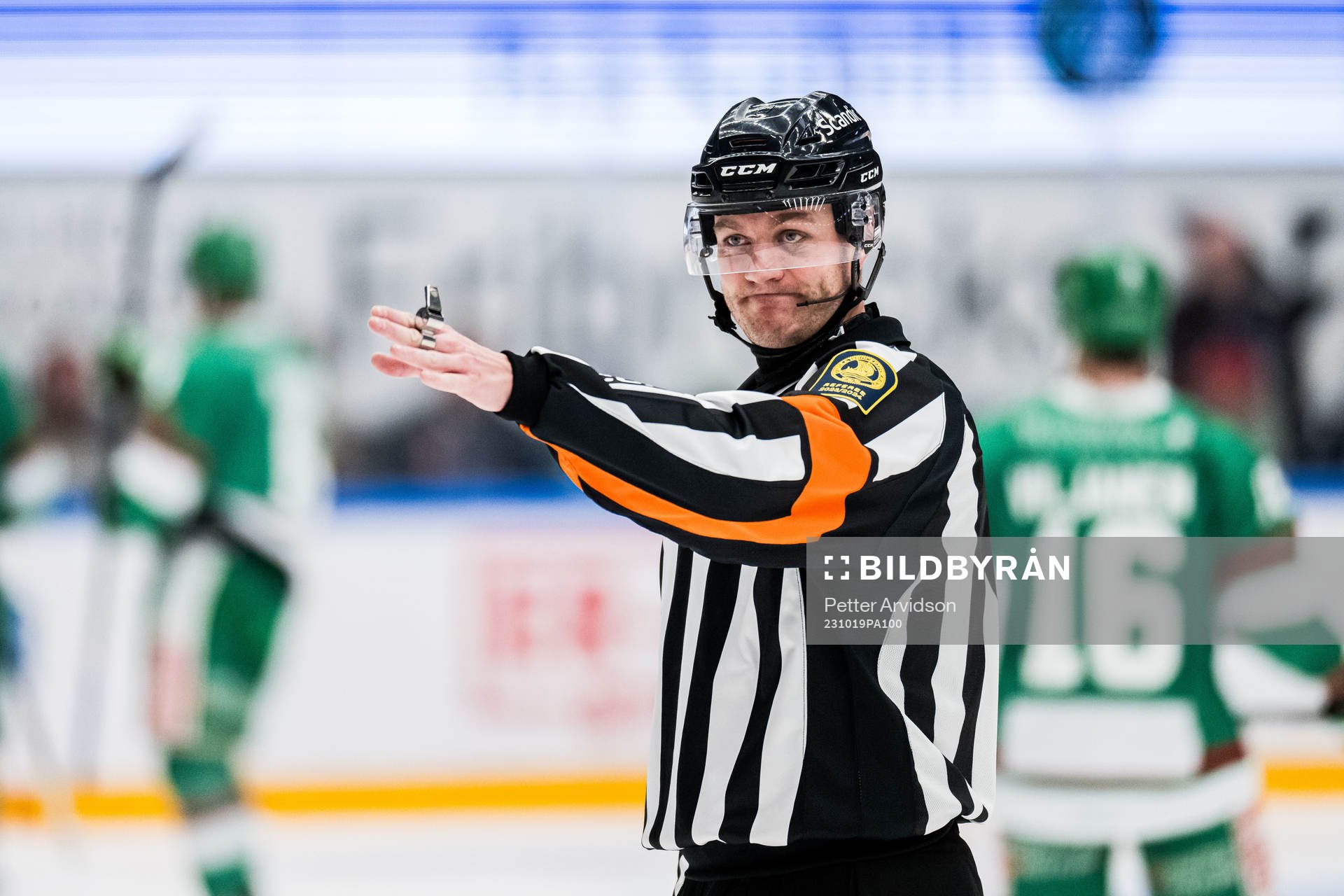 Domare Daniel Eriksson