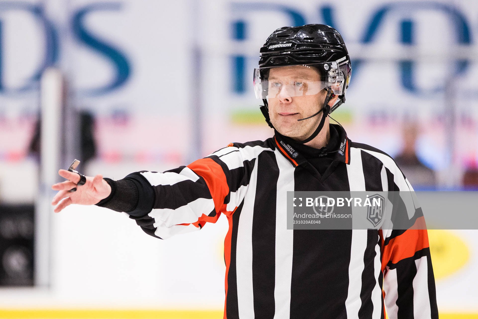 Domare Markus Yngvesson
