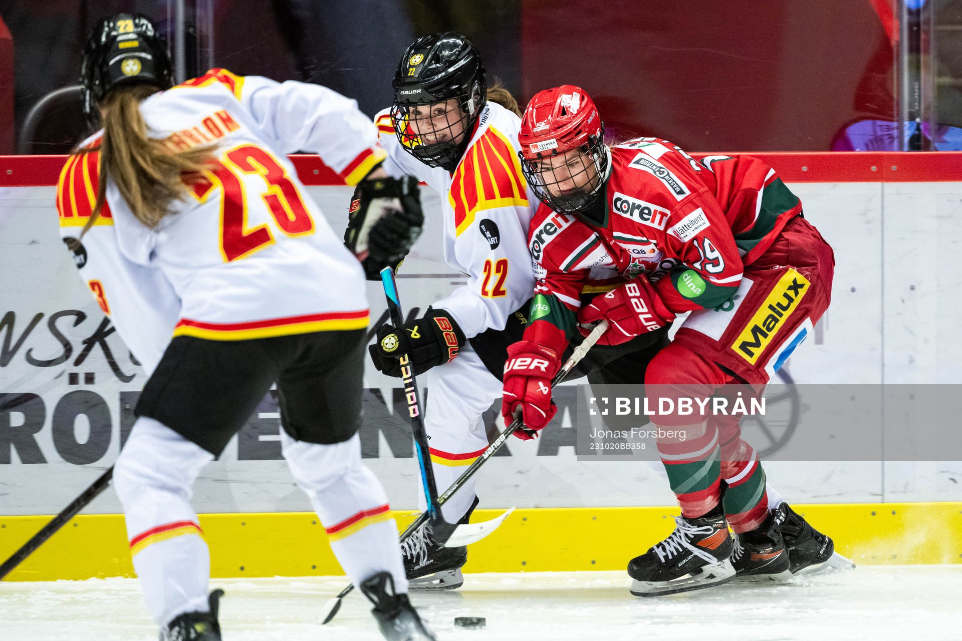 Brynäs Hanna Thuvik och Modos Lauren Bellefontaine