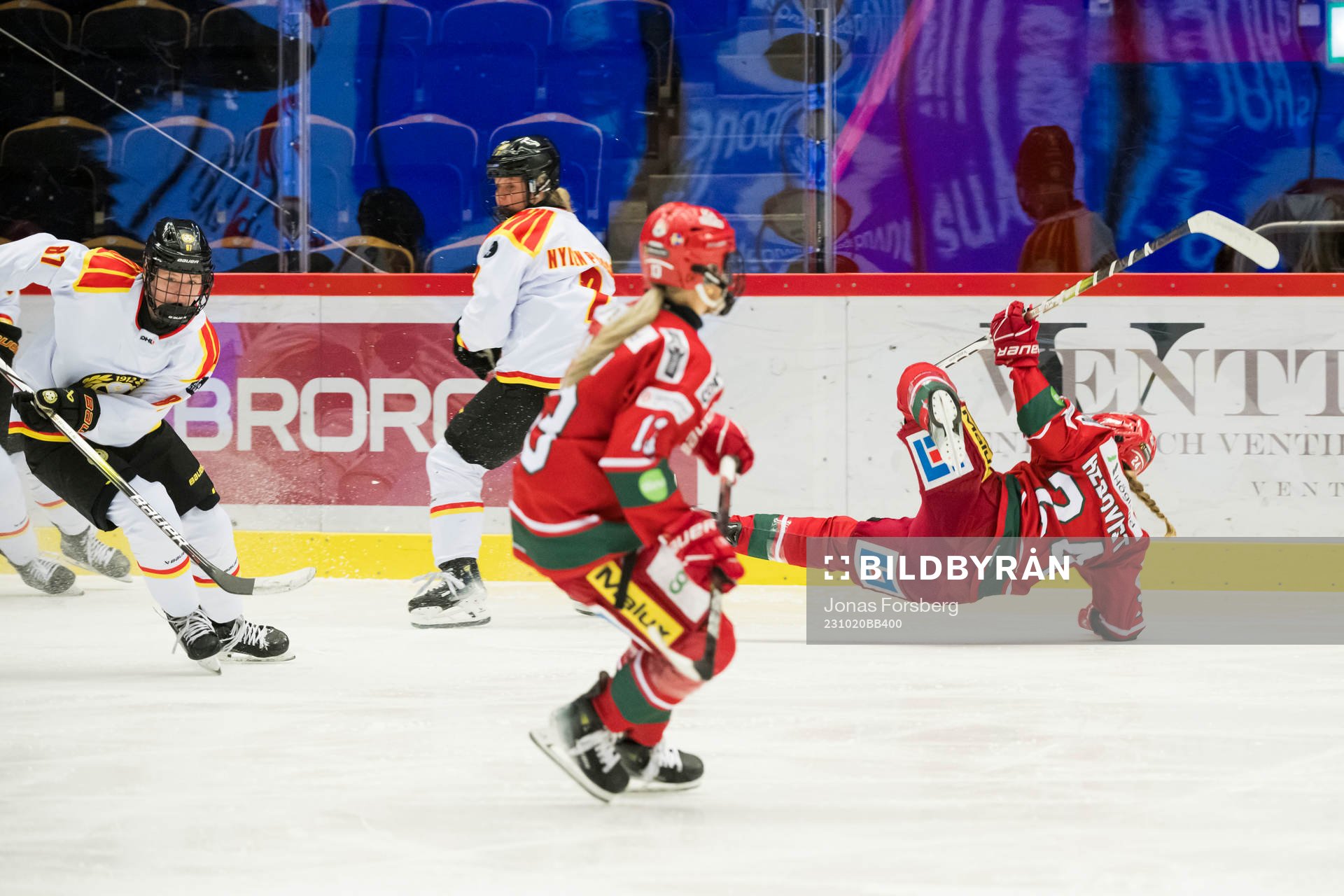Modos Ebba Hedqvist