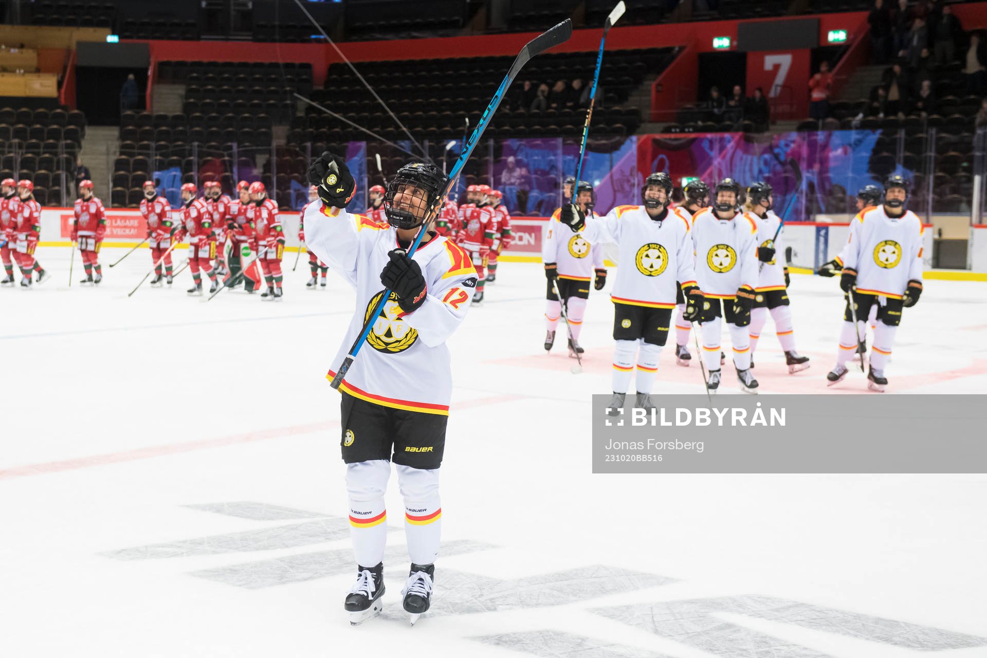 Brynäs Mina Waxin