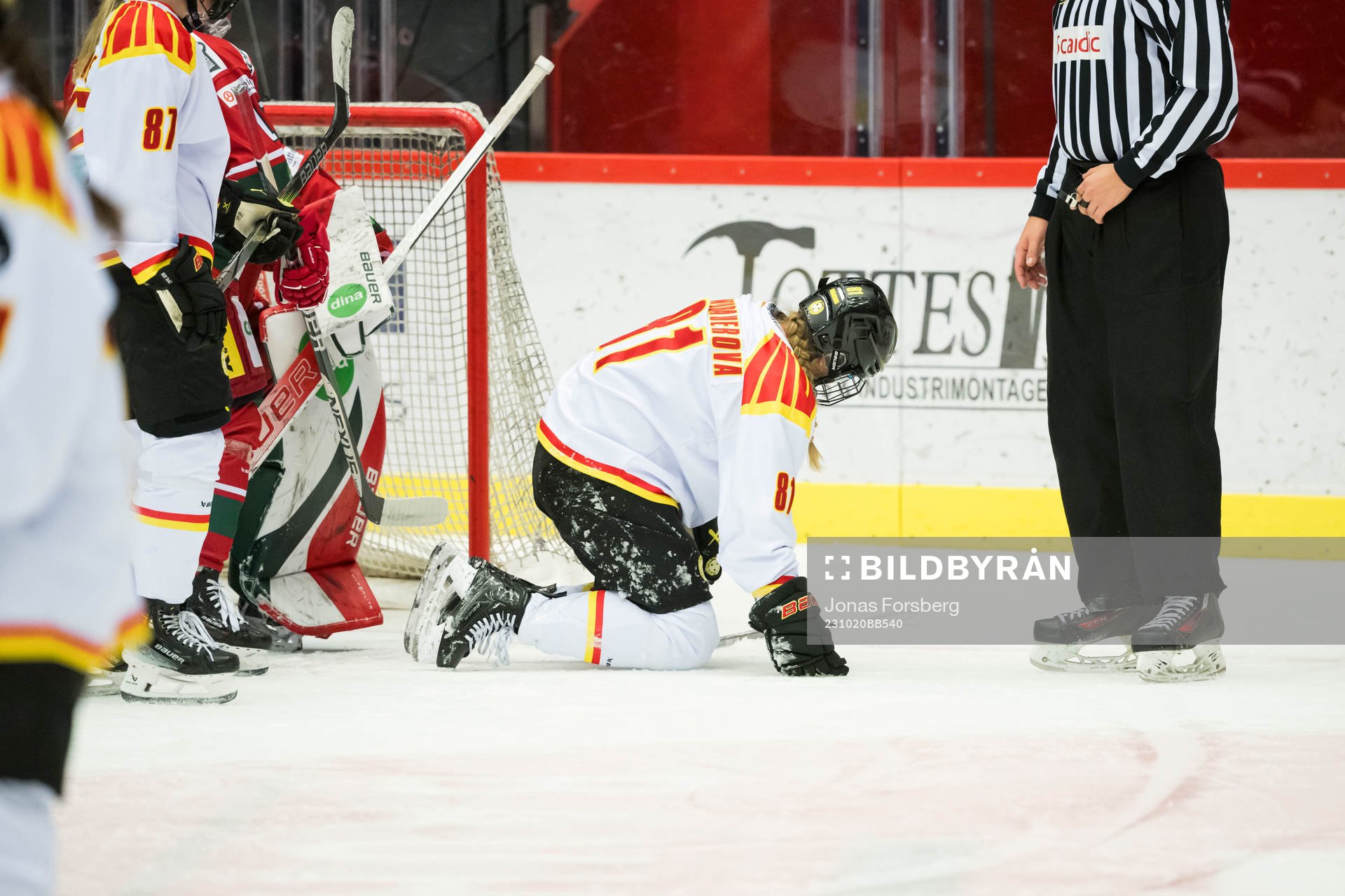Brynäs Noemi Neubauerova