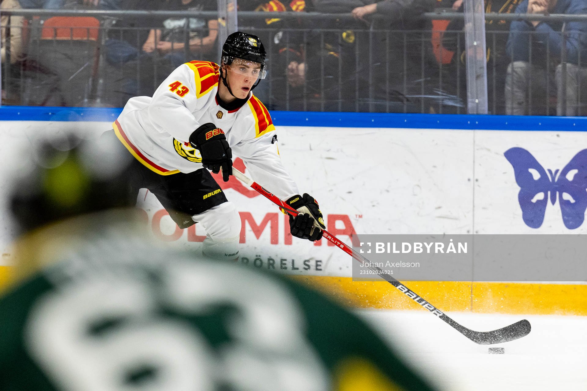 Brynäs Noel Nordh