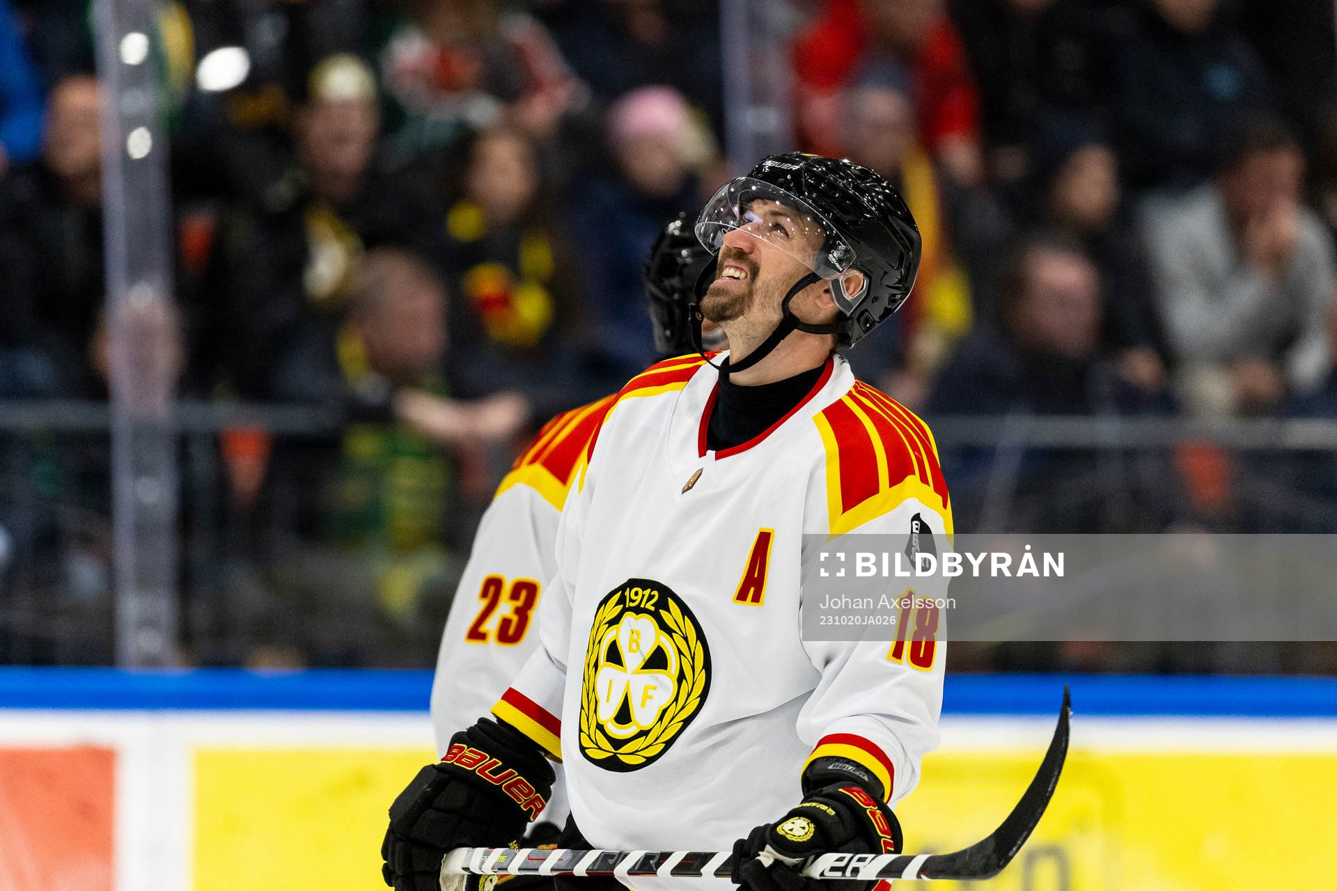 Brynäs Anton Rödin
