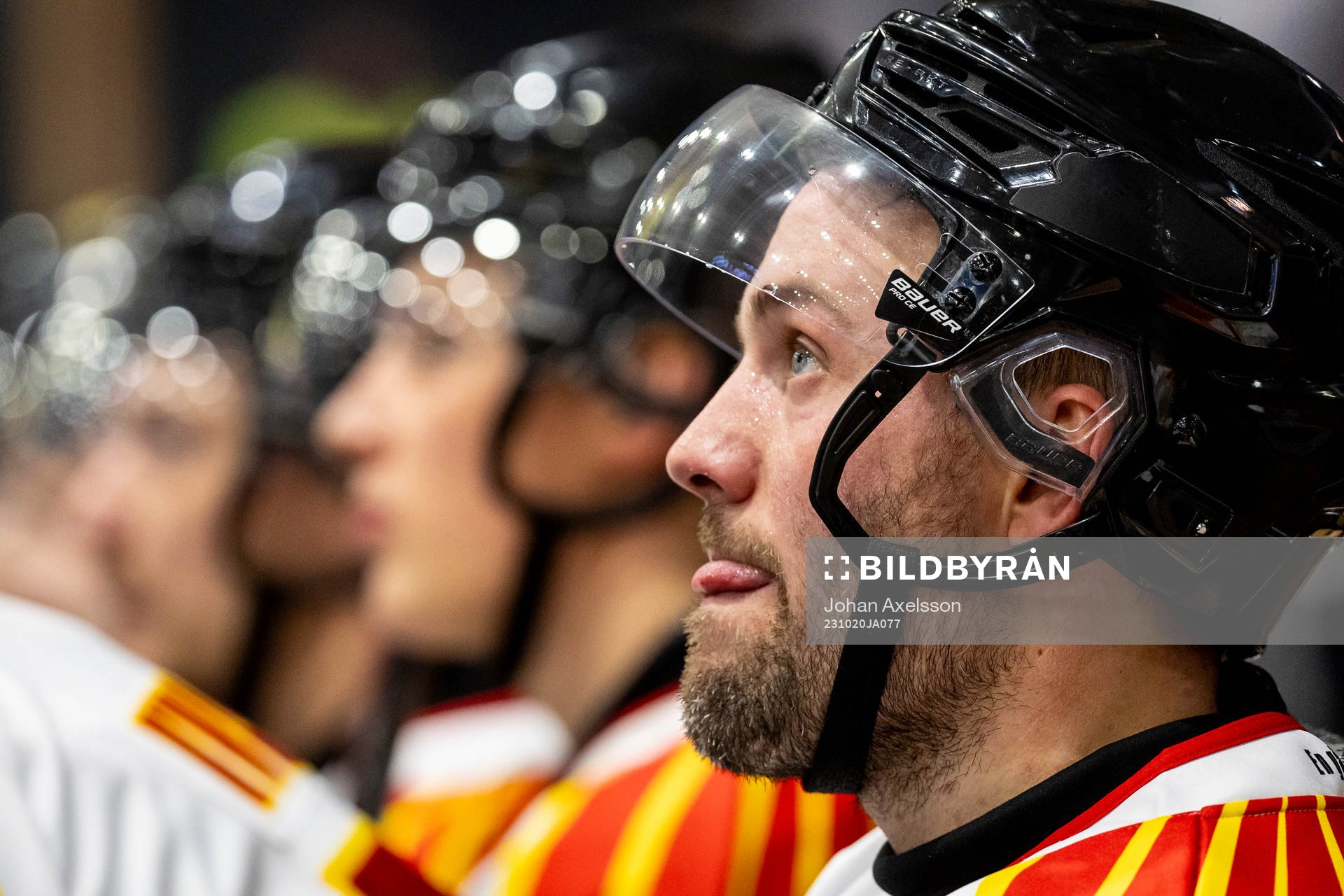 Brynäs Johan Larsson