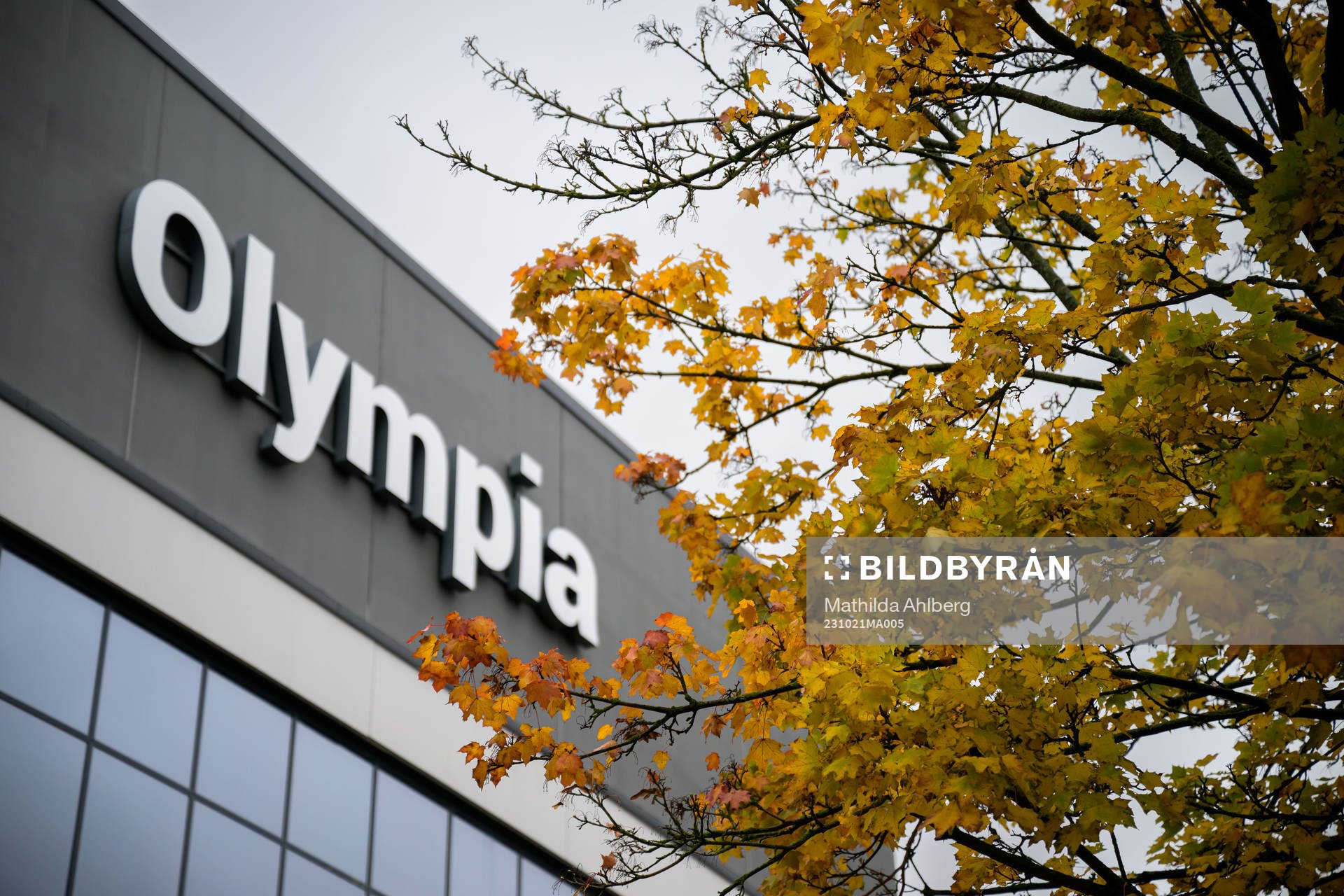 Höstlöv framför Olympia