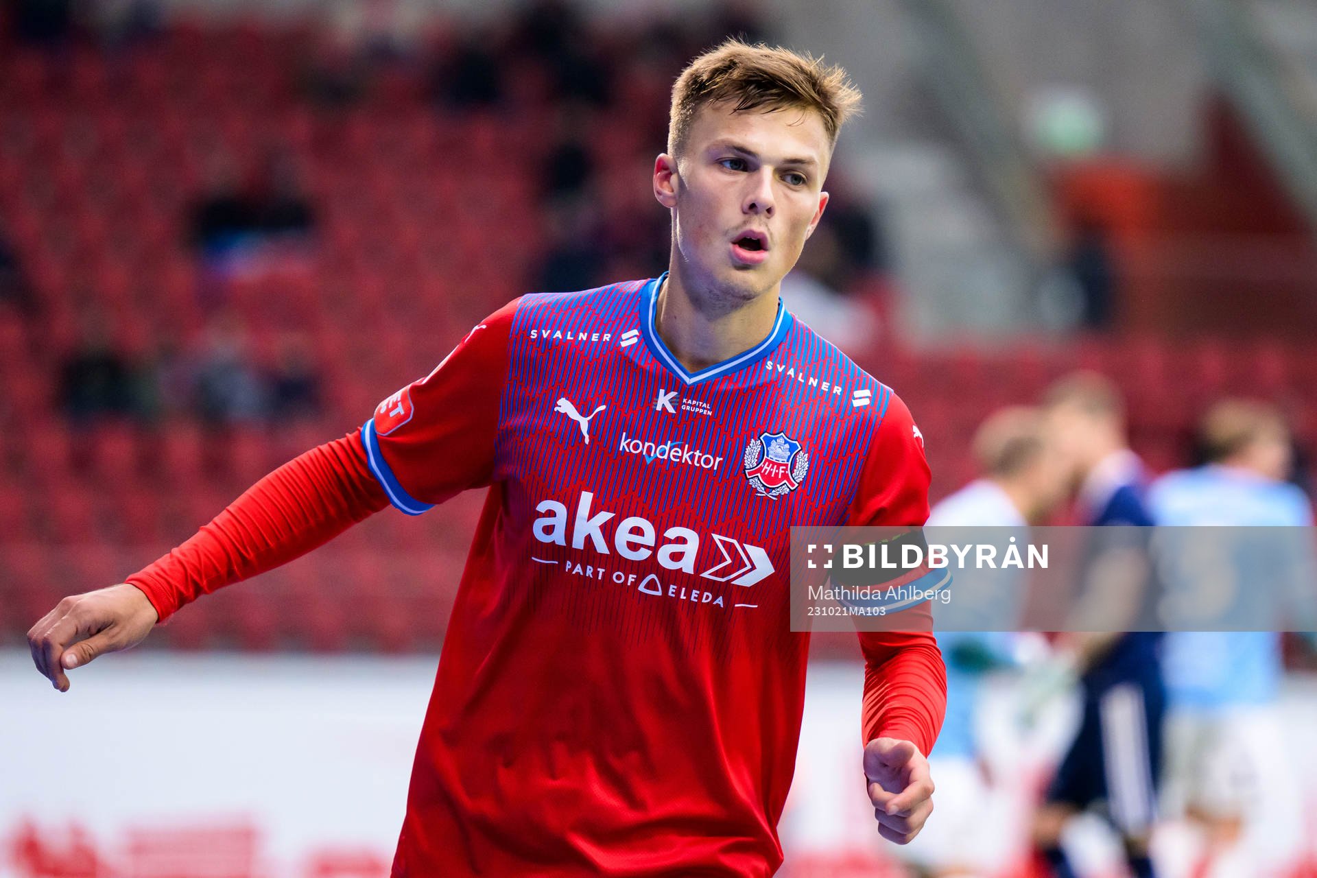 Helsingborgs Erik Ring