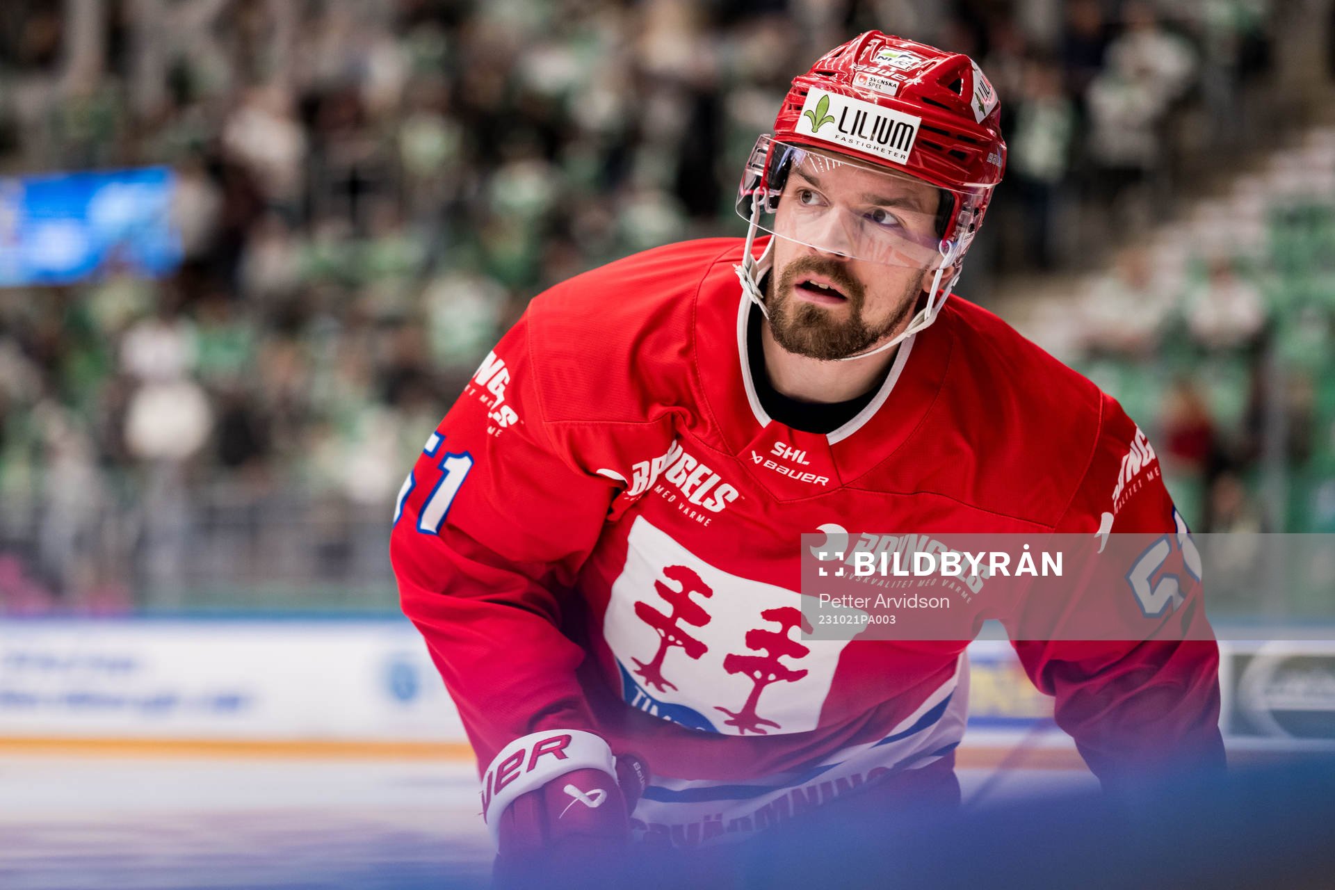 Timrå IKs Anton Lander