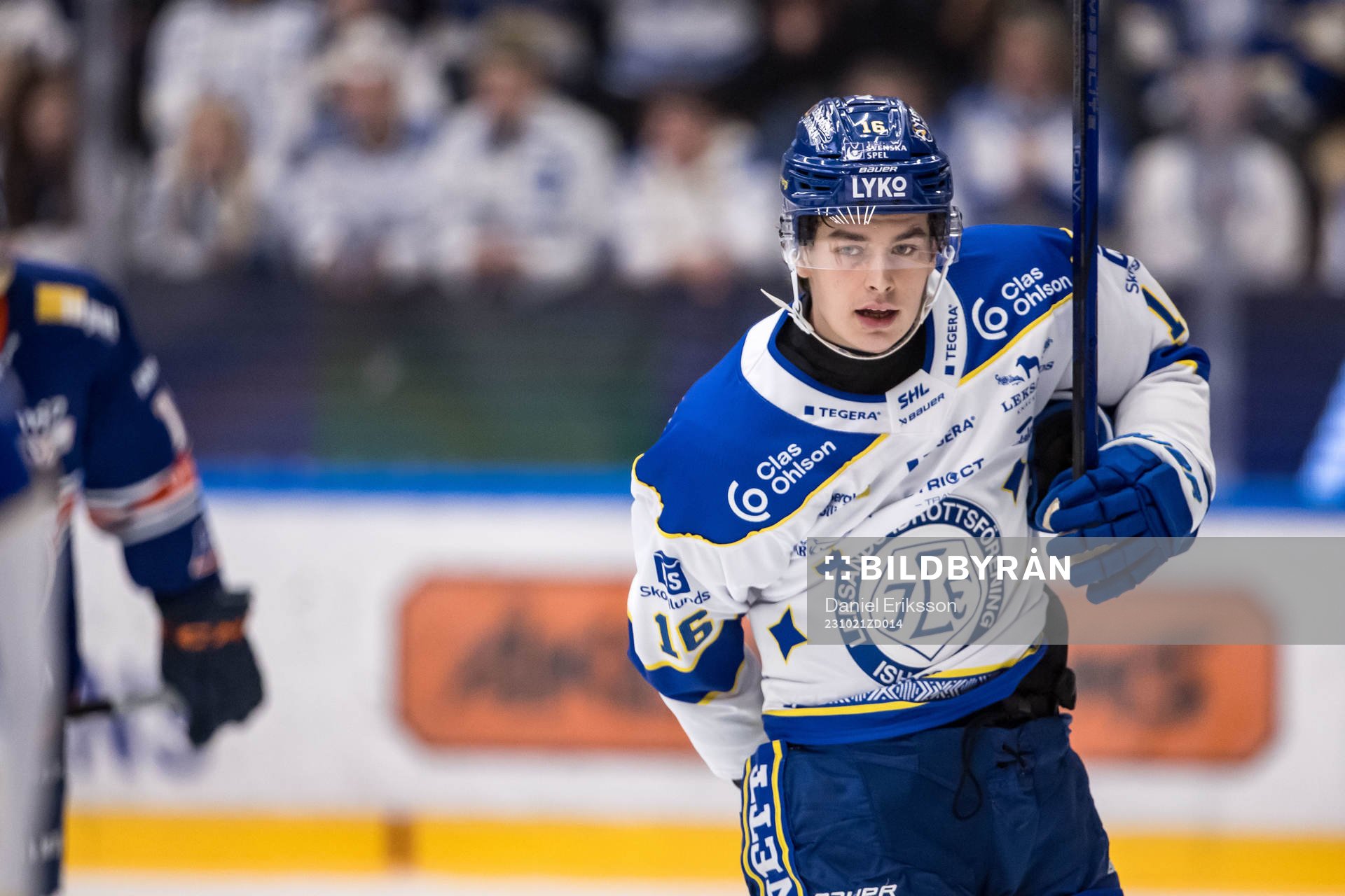 Leksands IFs Felix Unger Sörum
