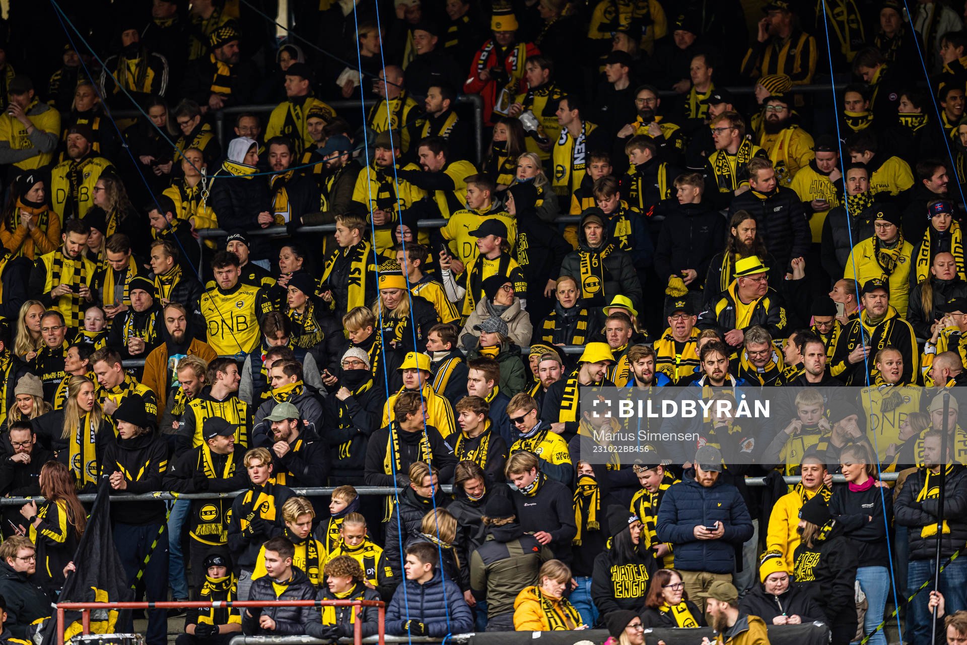 Spectators in the stands