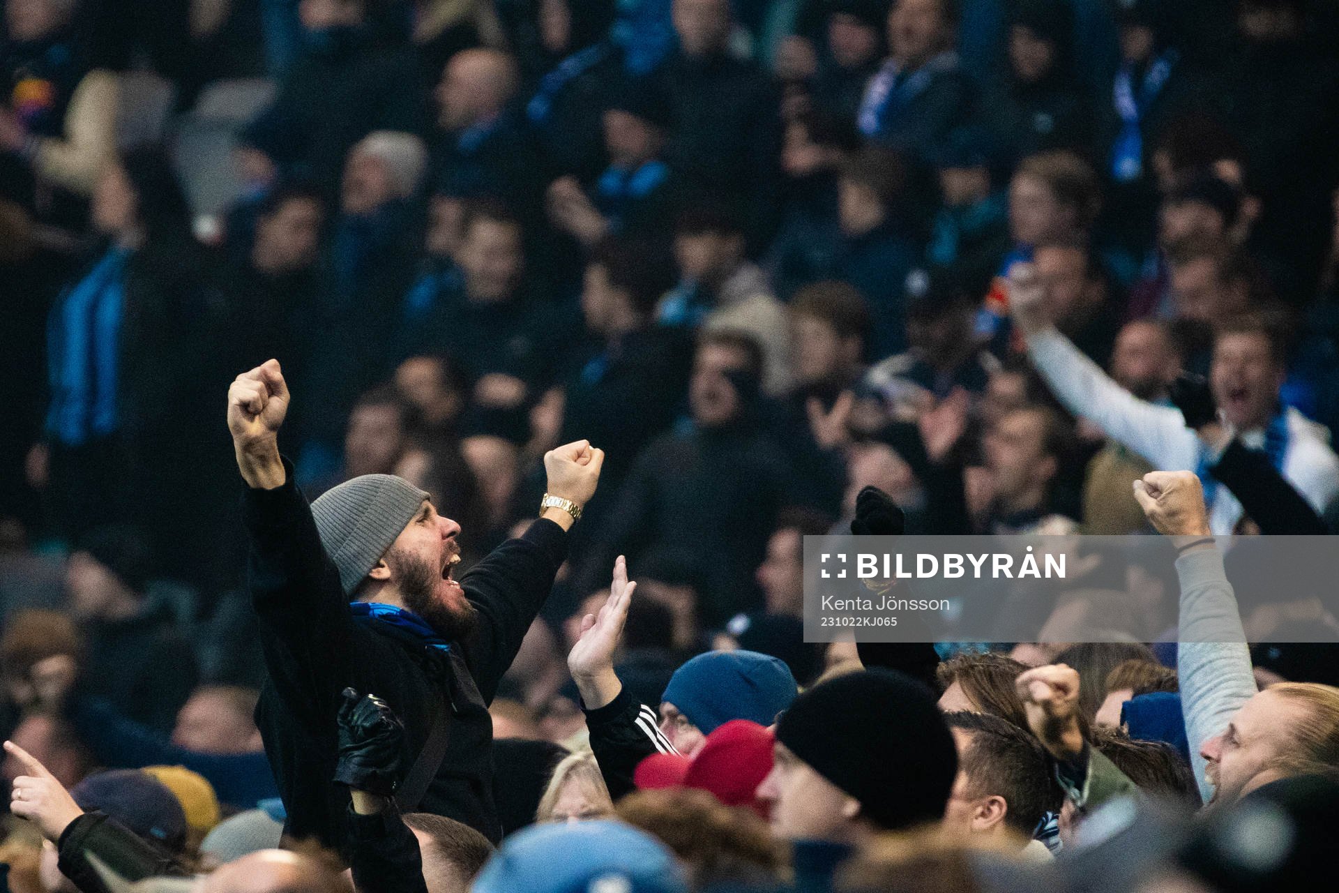 Djurgårdens supportrar