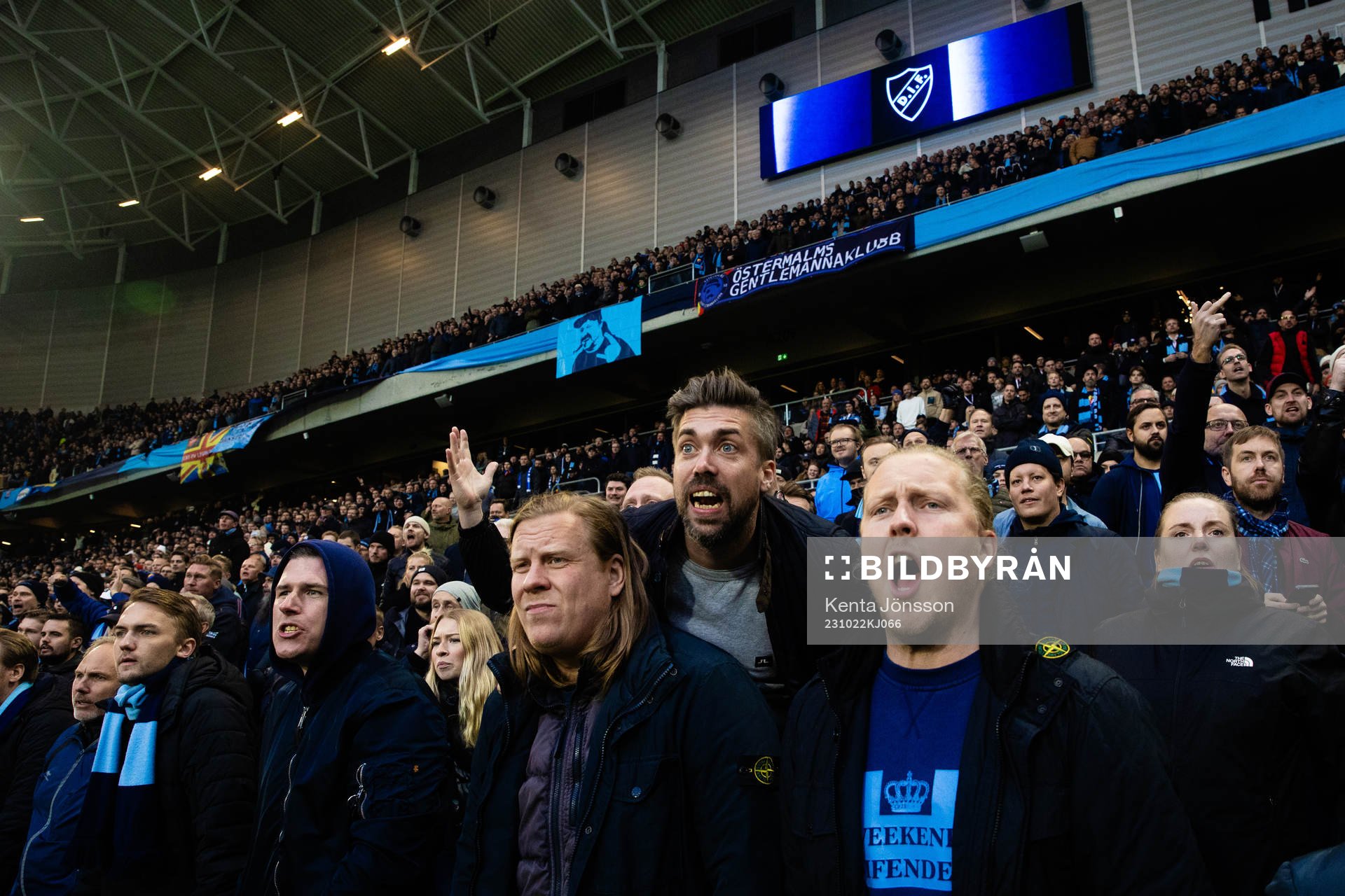 Djurgårdens supportrar