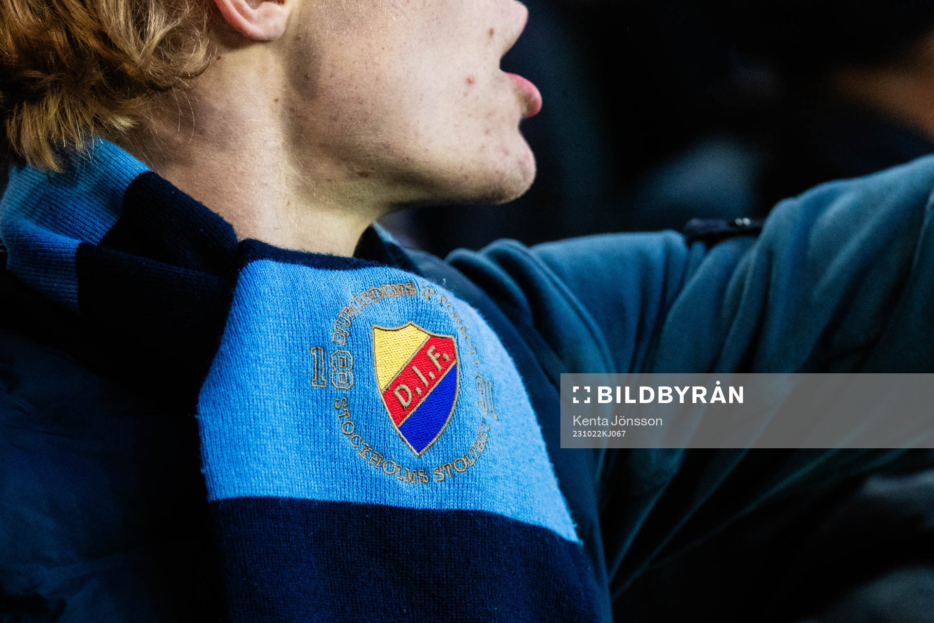 Djurgårdens supportrar