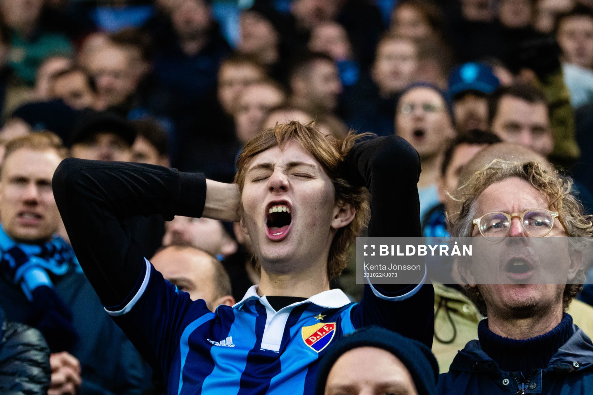 Djurgårdens supportrar