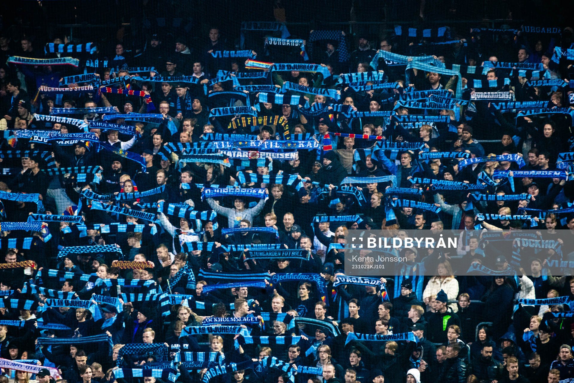 Djurgårdens supportrar med halsdukar