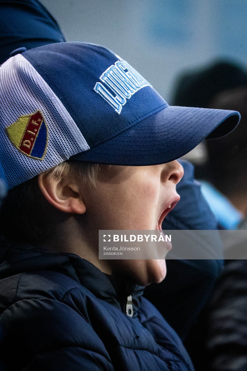 Djurgårdens supportrar