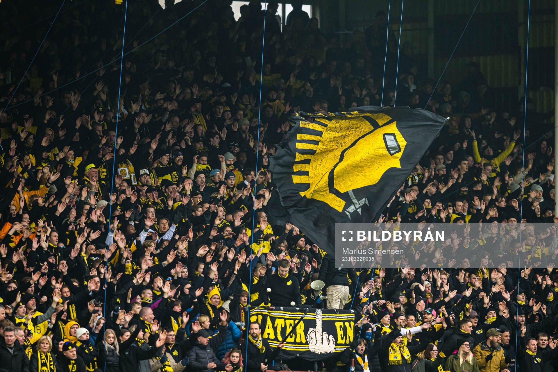 Spectators in the stands