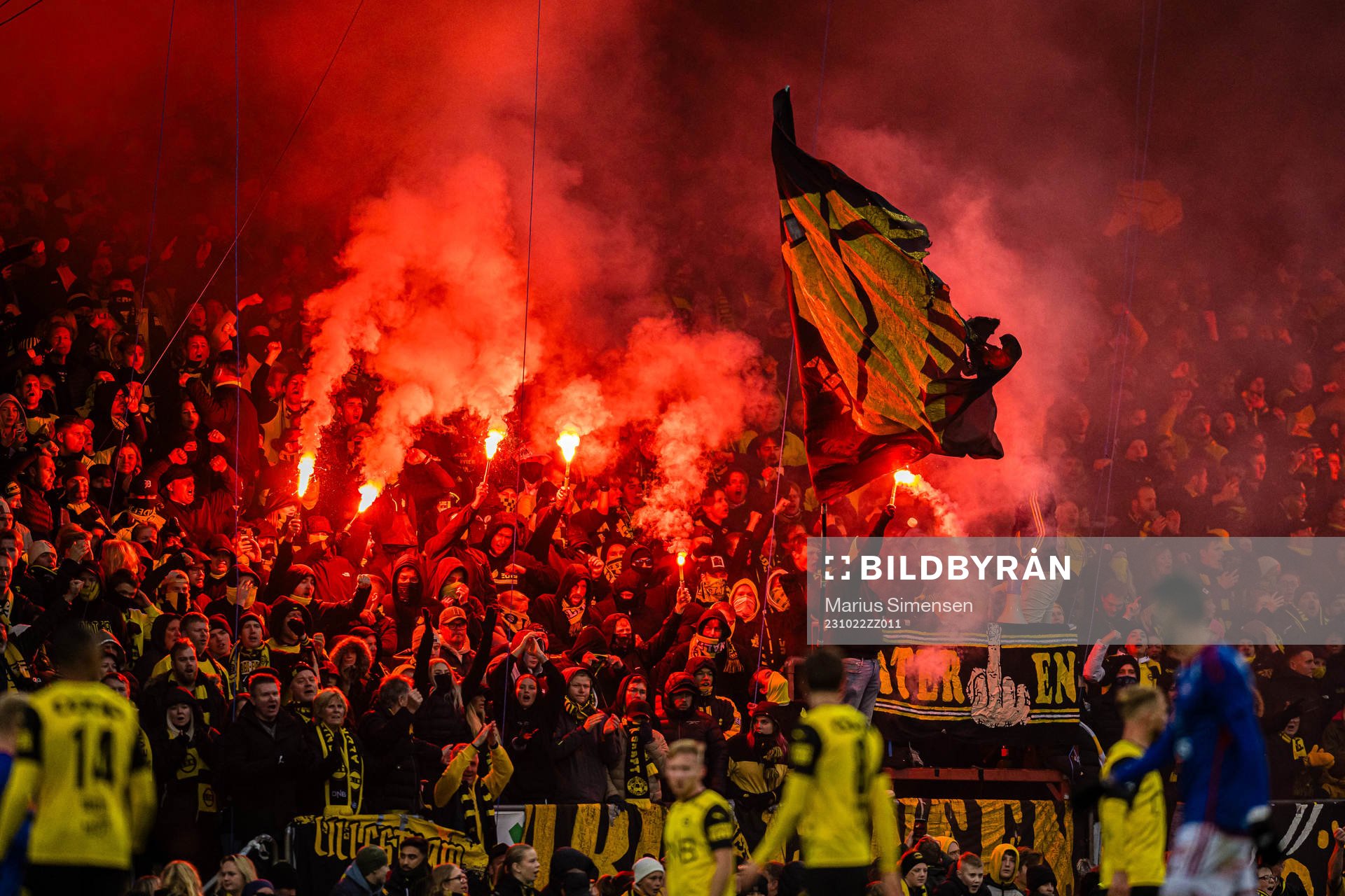Spectators in the stands