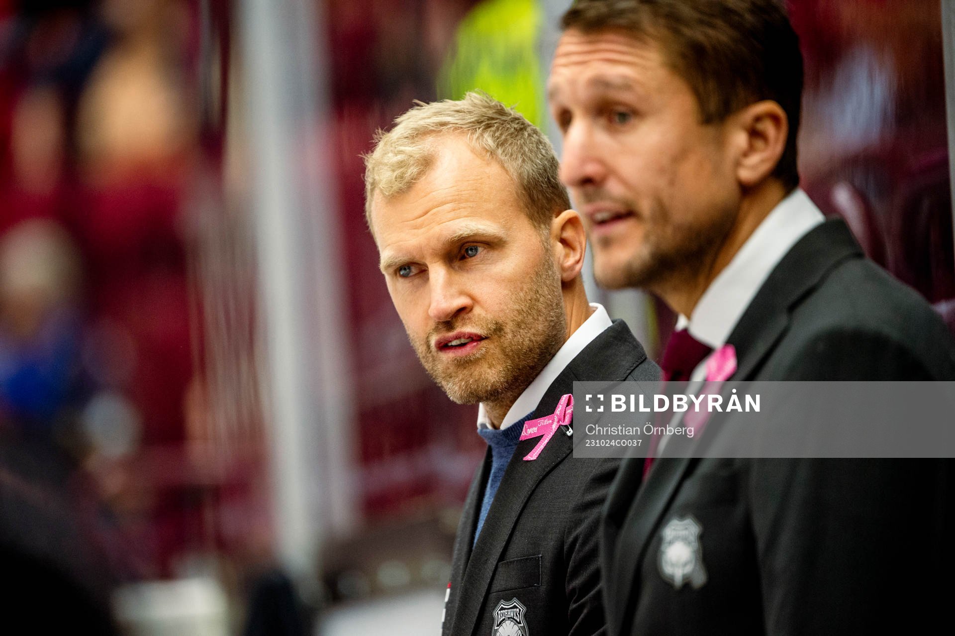 Malmö Redhawks assisterande tränare Mathias Tjärnqvist
