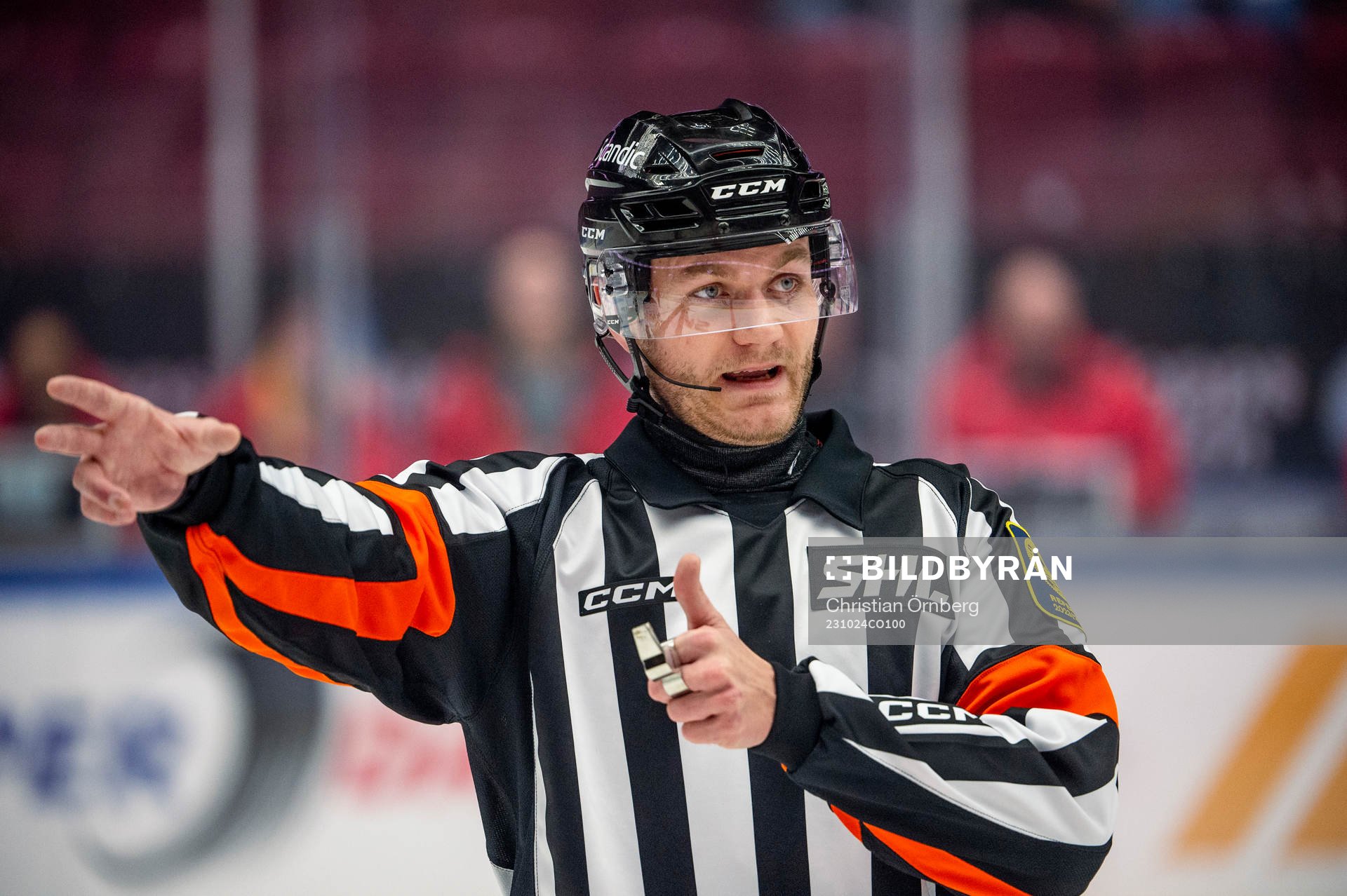 Domare Daniel Eriksson