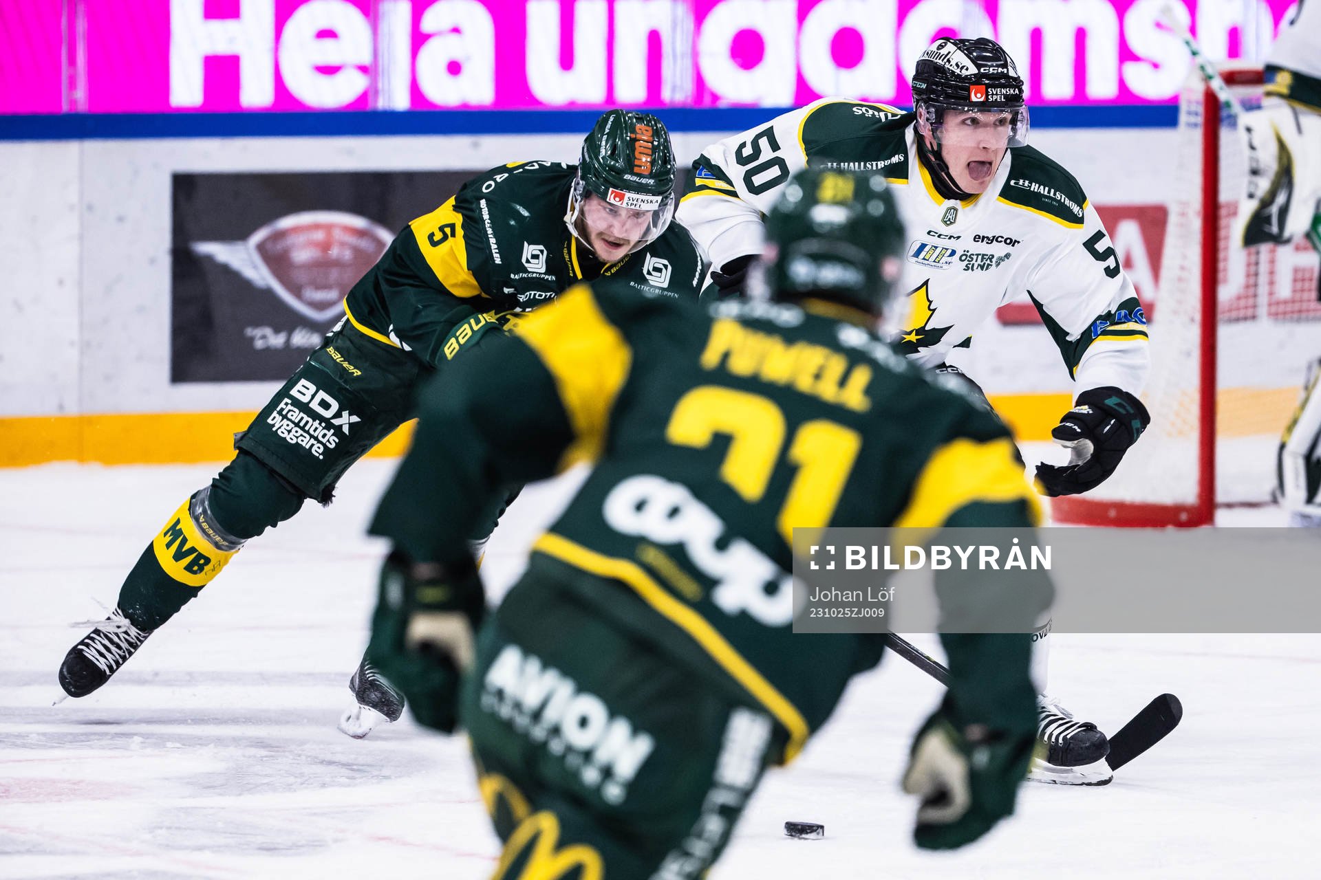 Östersunds Georgs Golovkovs och Björklövens Jesper