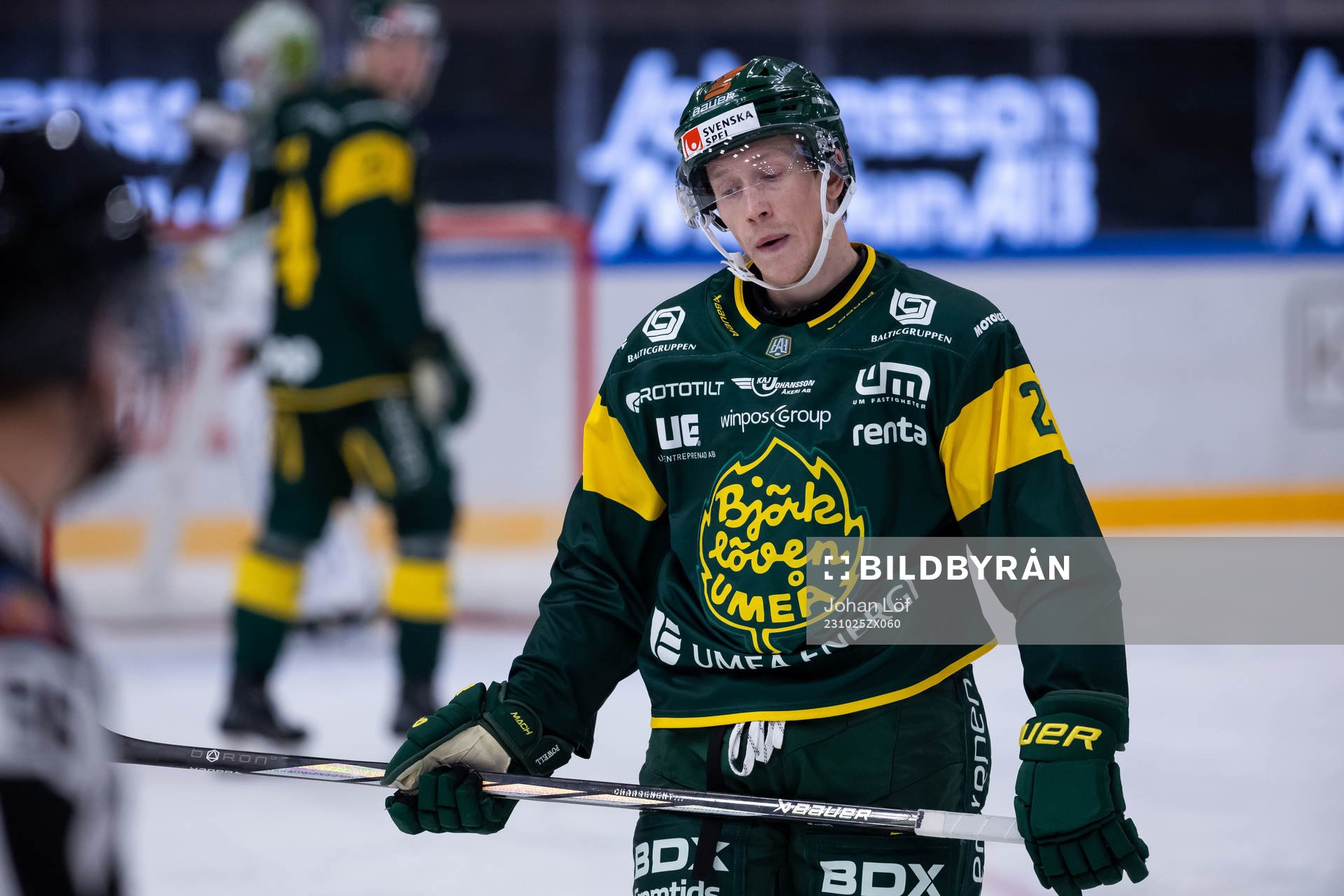 Björklövens Myles Powell