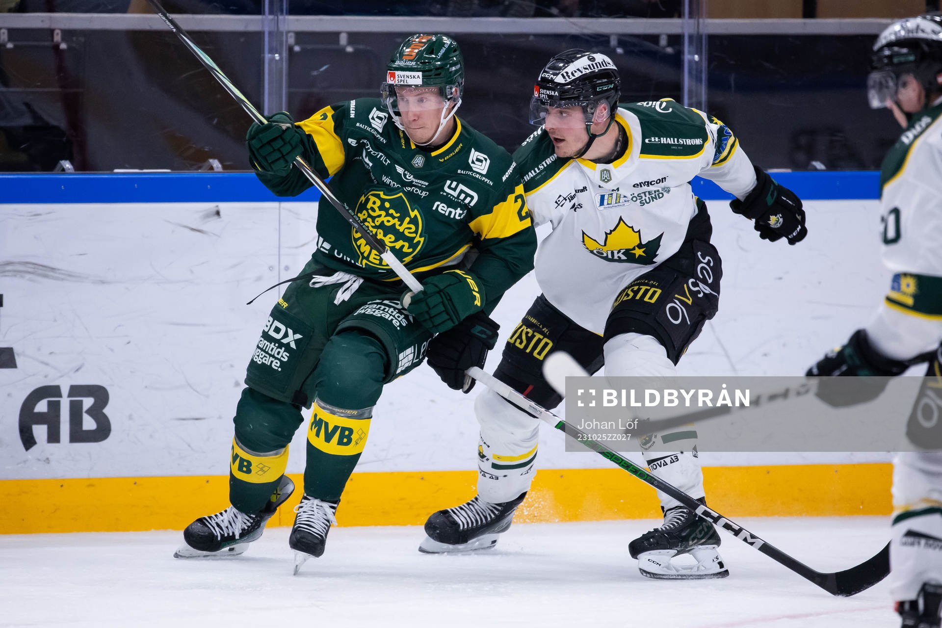 Björklövens Myles Powell