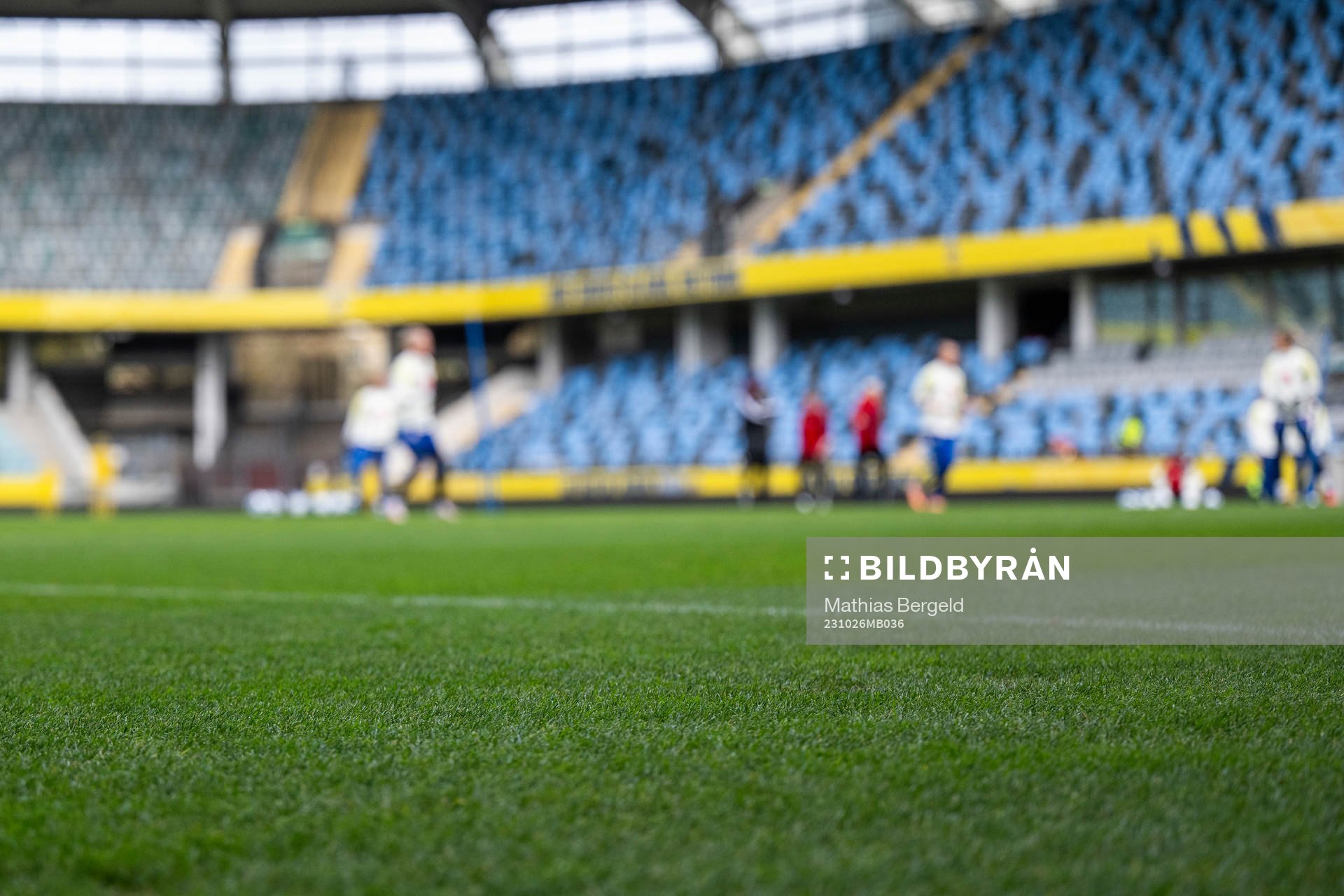 Grass of the Swedish women's national football team